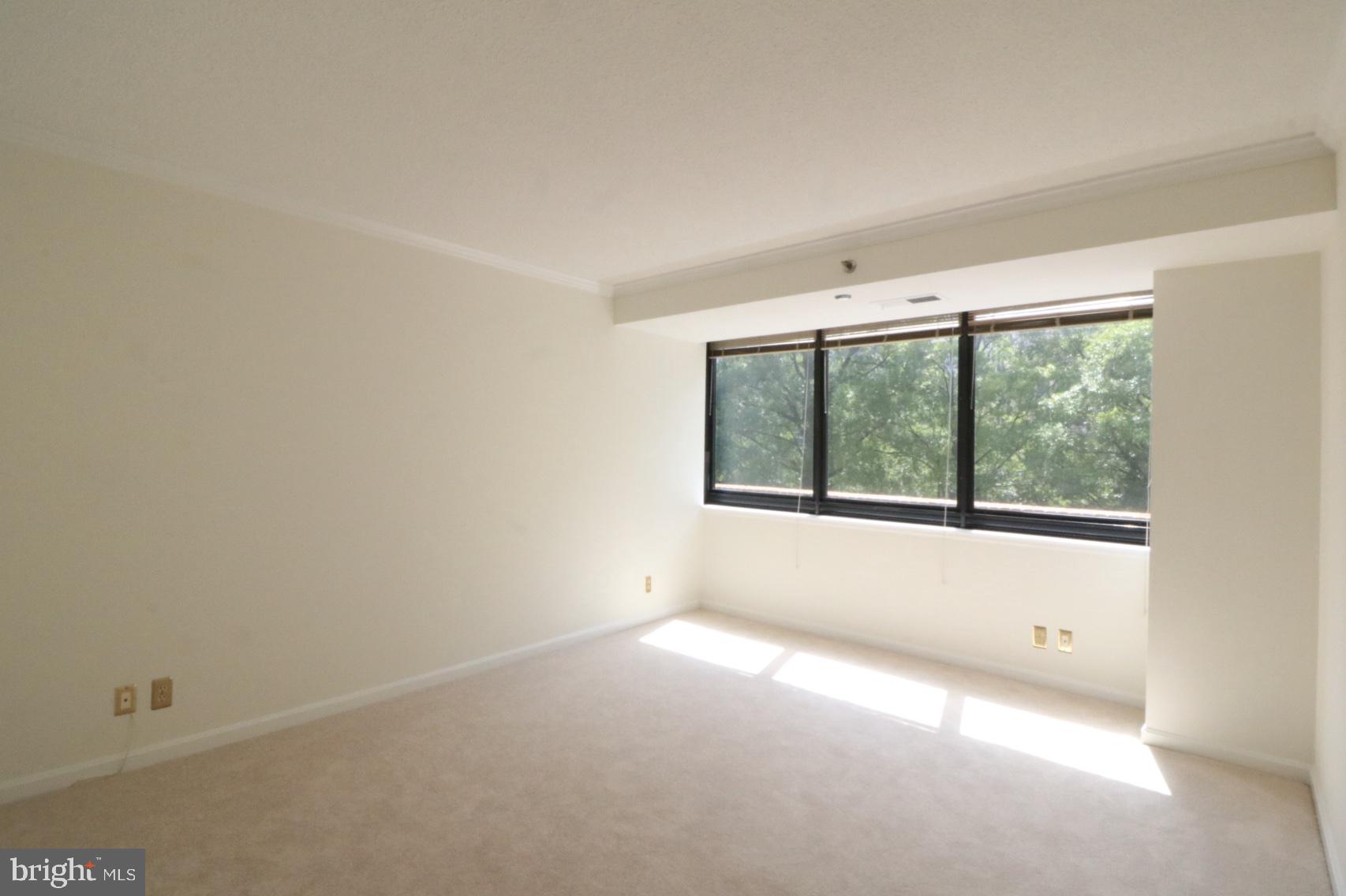 1805 CRYSTAL DRIVE 204S