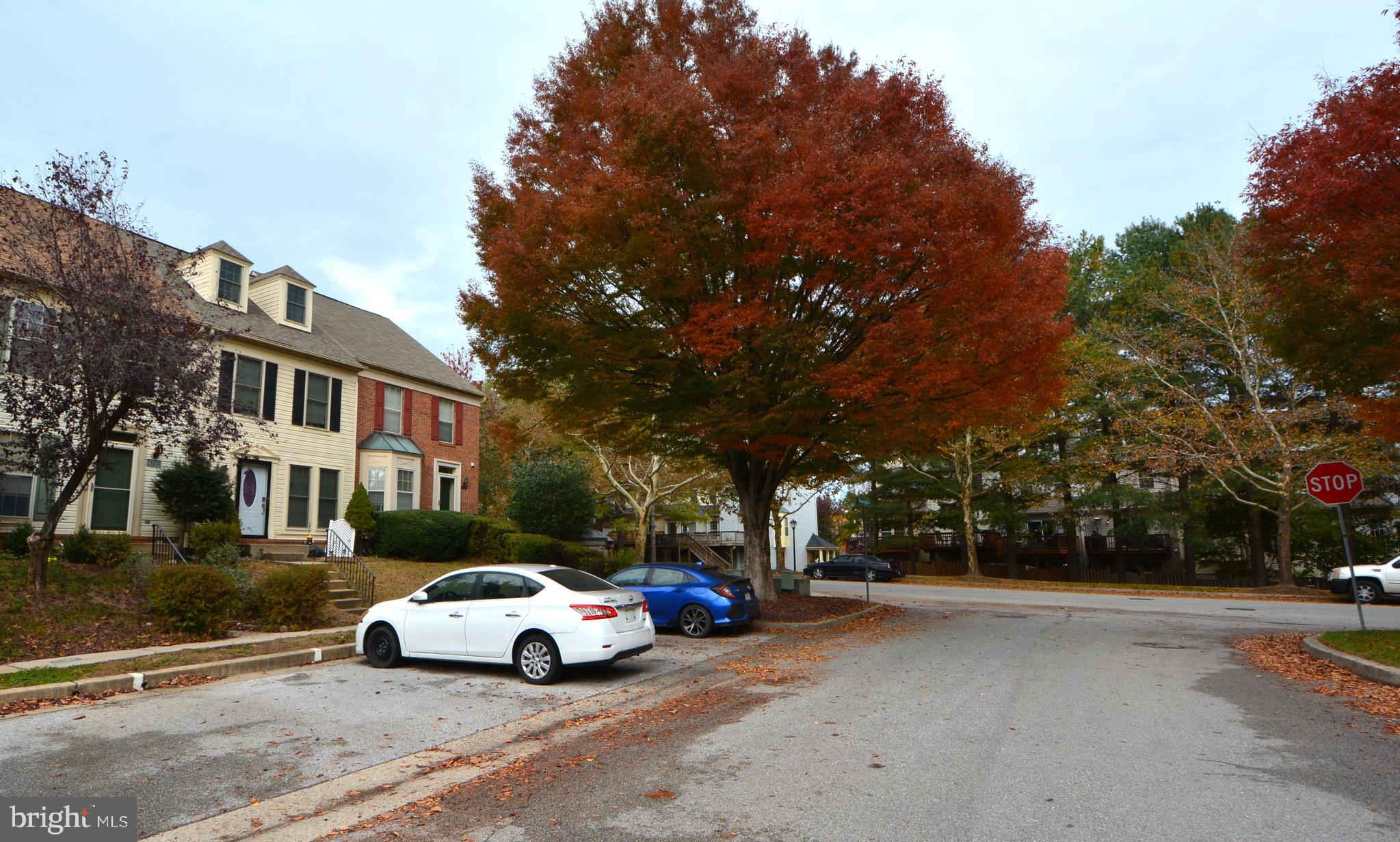 NEW TOWN - Residential