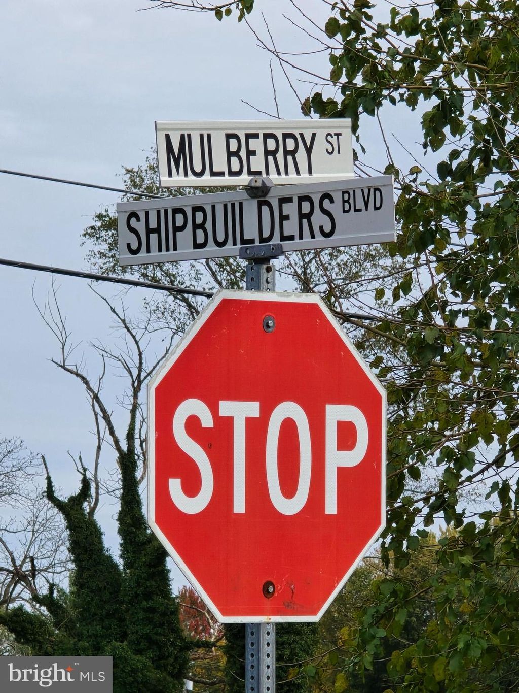 Photo of 512 Mulberry Street, MILTON, DE 19968 (MLS # DESU2099454)