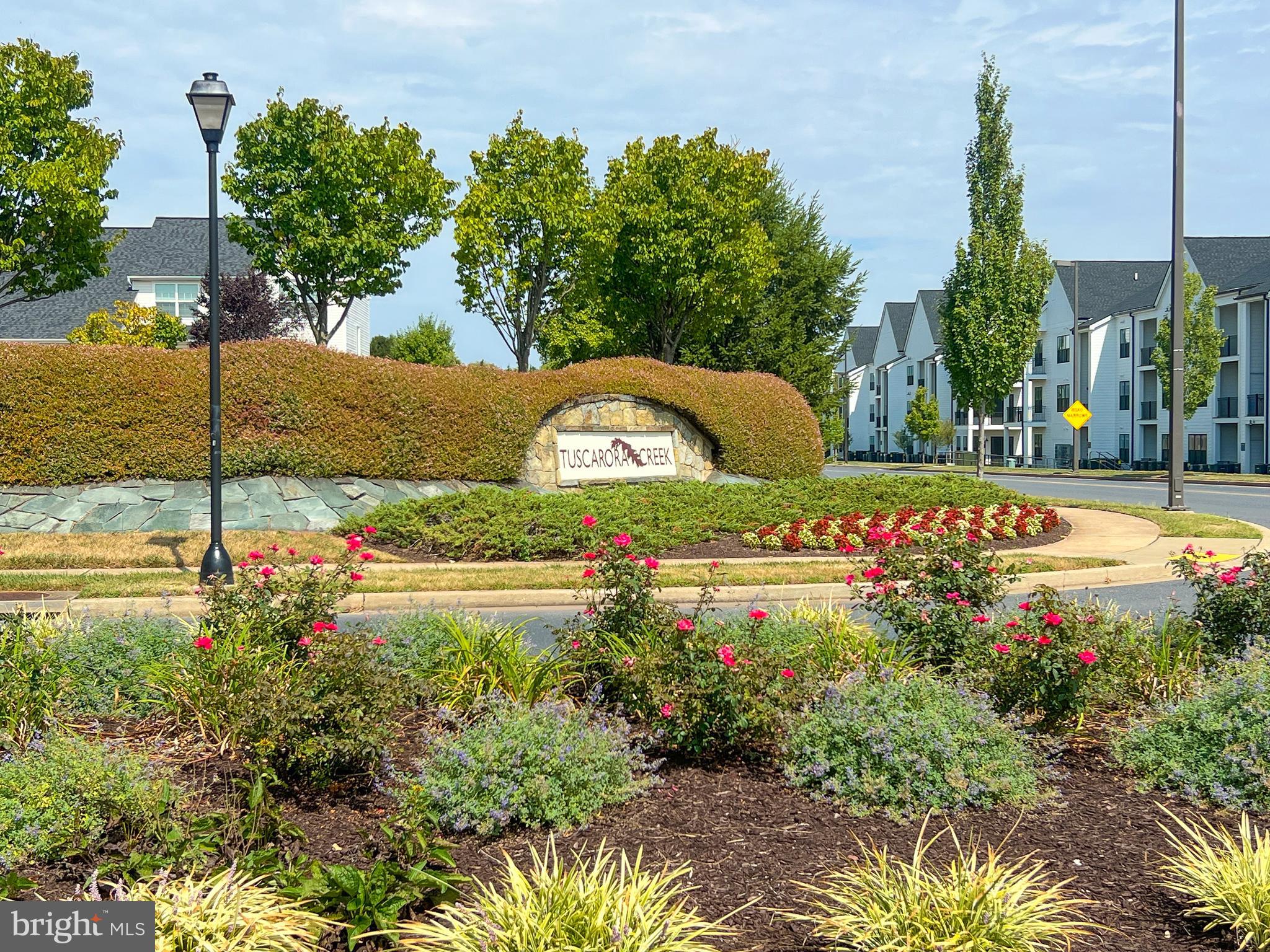 TUSCARORA CREEK - Residential