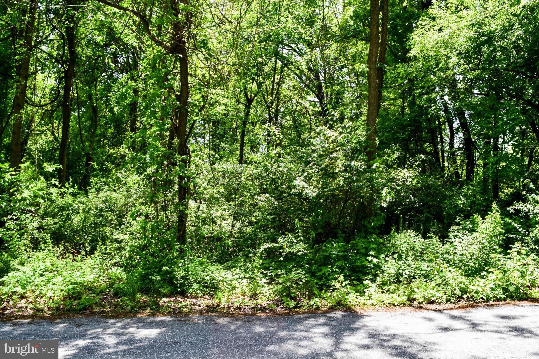 SUSQUEHANNA TRAILS - Land