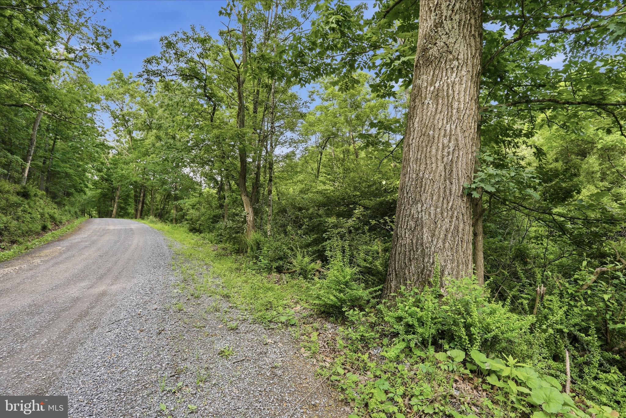 11.95AC LUXEMBURG RD