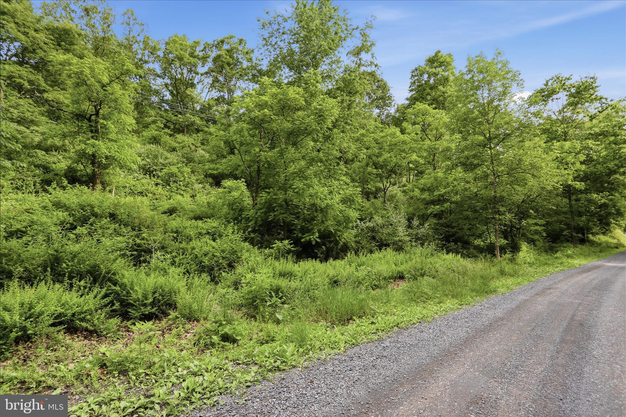 11.95AC LUXEMBURG RD