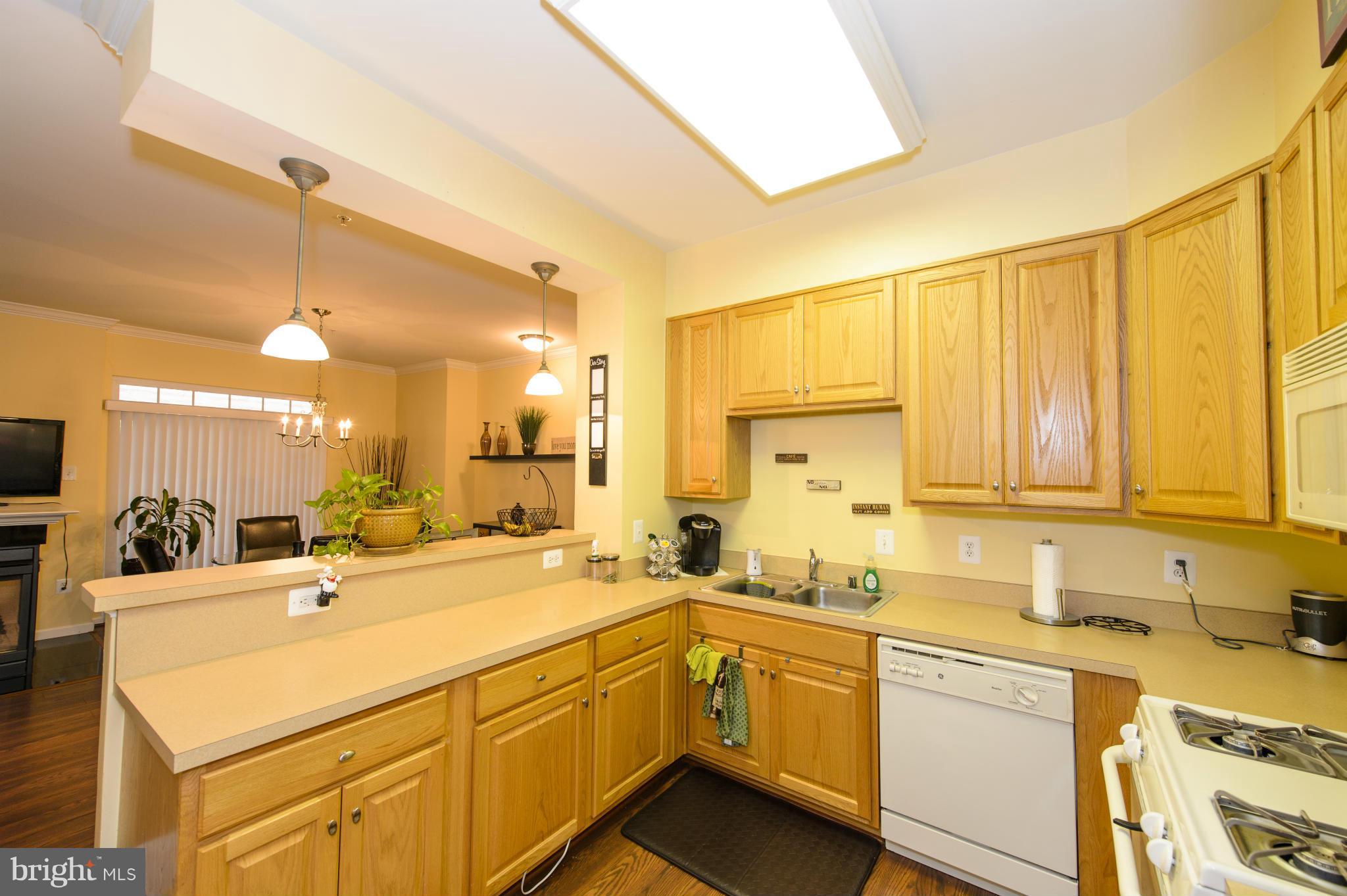 THE COMMONS ON WILLIAM SQUARE - Residential