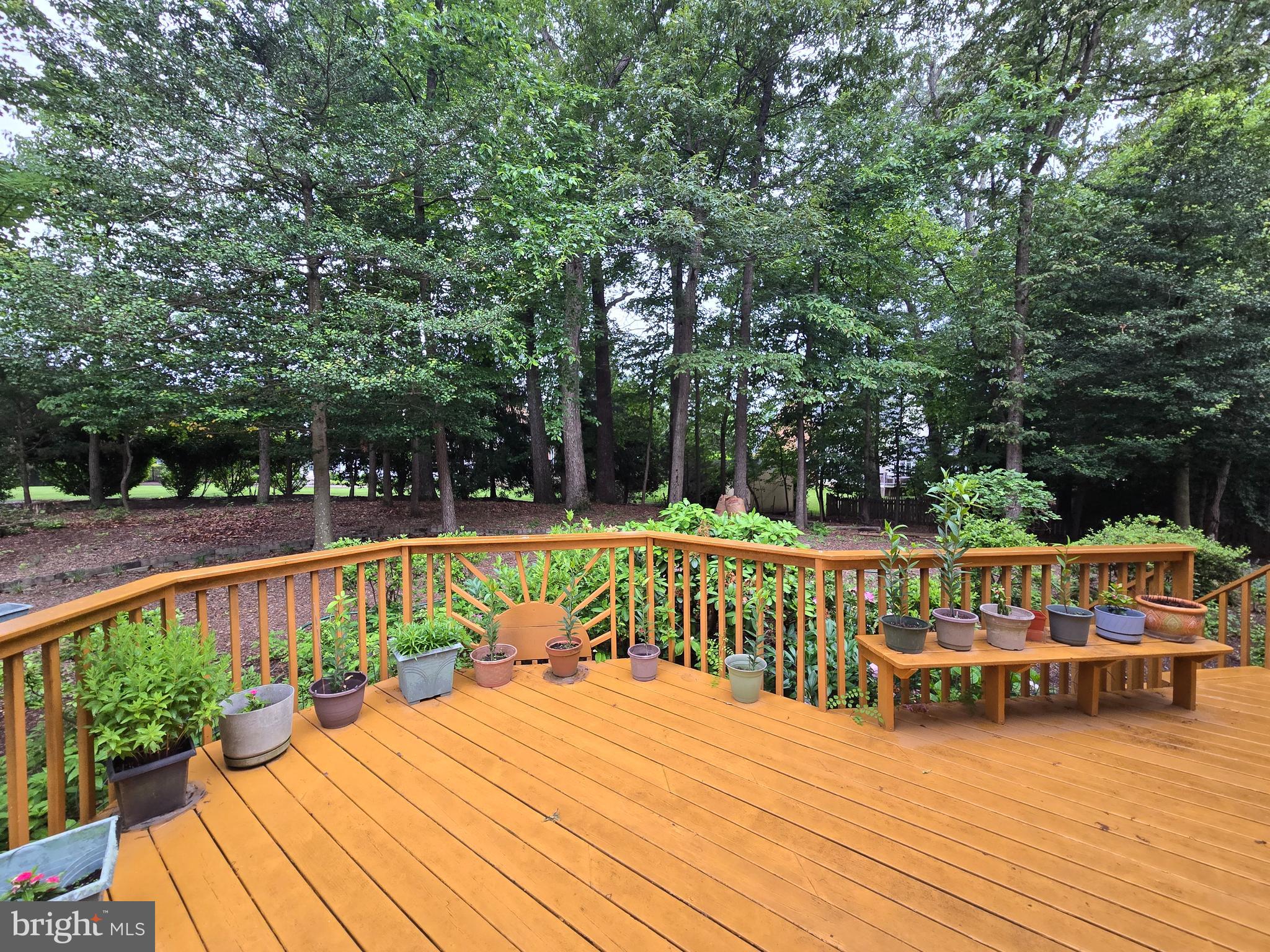 3270 WILLOW GLEN DRIVE
