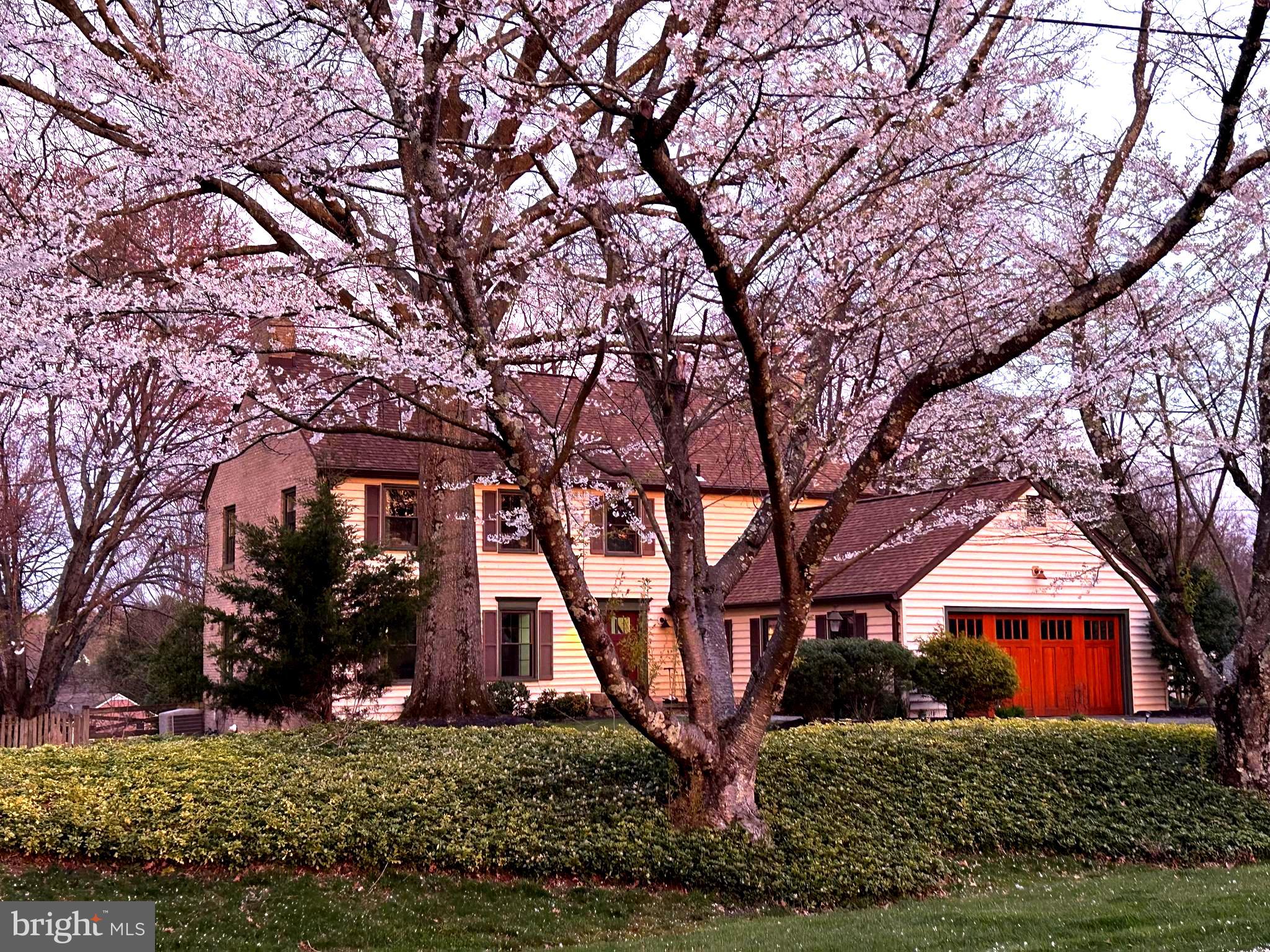 ANCIENT OAK - Residential