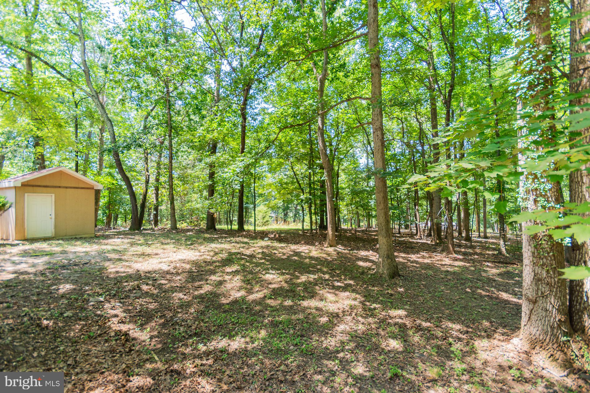 SHANNONDALE - Residential