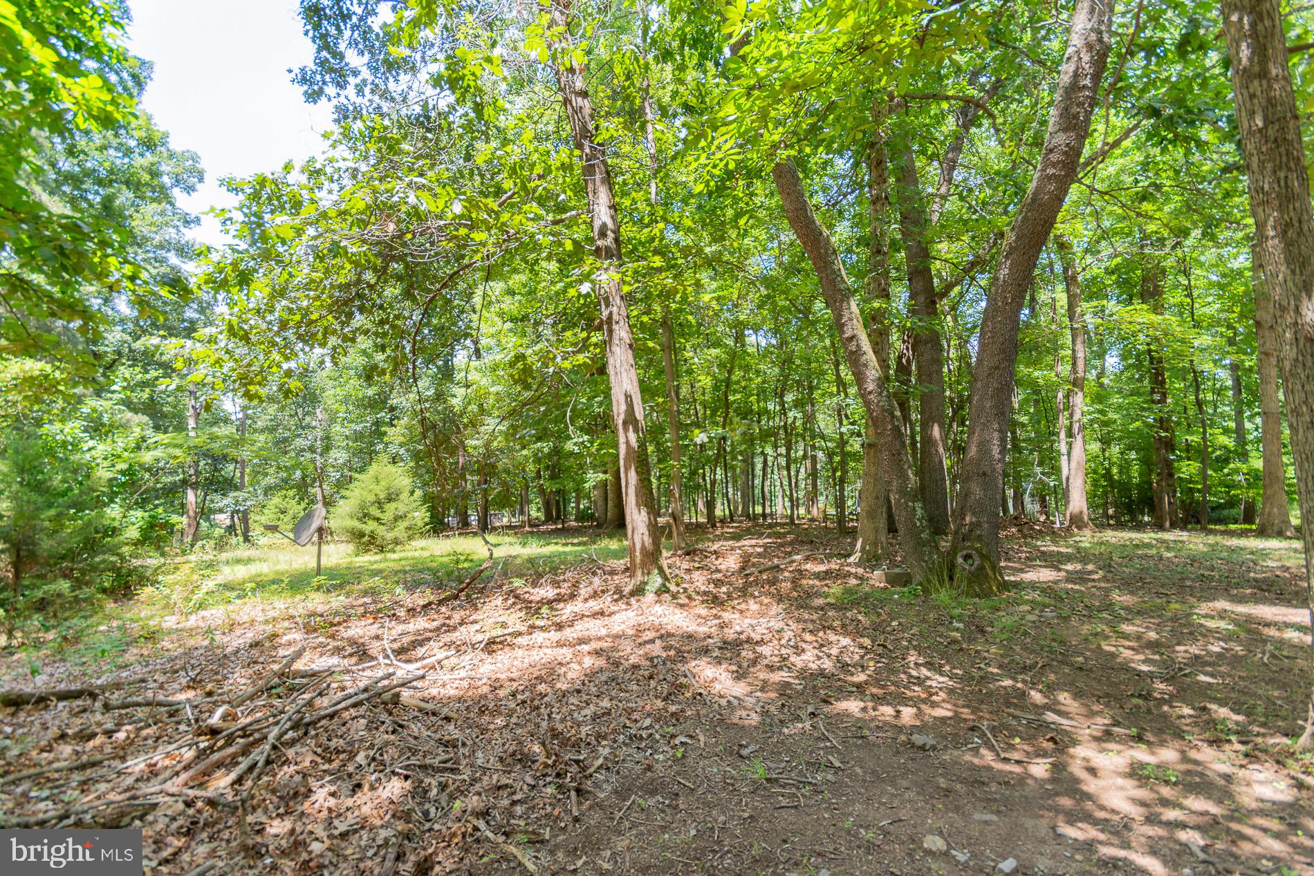 SHANNONDALE - Residential