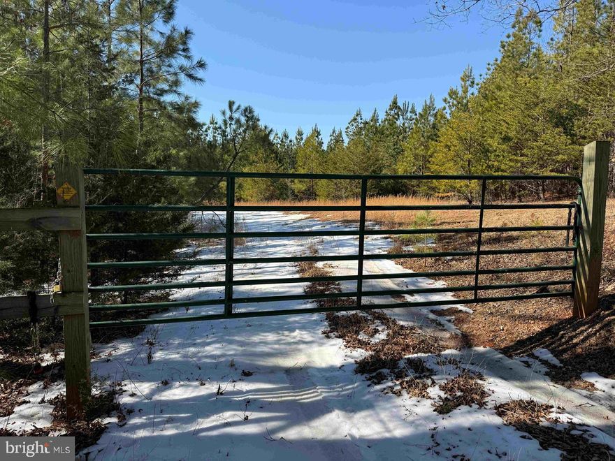 The 199-acre Tonguequarter Tract is located south of Dillwyn, VA in Buckingham County and is accessed by prescriptive easement from State Hwy. 15 (James Madison Hwy.).  This parcel lays rolling with Tonguequarter Creek dissecting the western part of the tract. The timber consists of 126 acres of 2008 planted Loblolly pine, 24 acres of 1979 planted Loblolly pine and approximately 49 acres of mature hardwoods. The interior road system accesses the majority of the tract for recreational opportunities and future logging. This property offers a great opportunity for a timberland investment with hunting and other recreation possibilities.

Disclaimer: Property inspections shall be done during daylight hours. Seller and Advance Land and Timber, LLC in no way make any representations or warranties regarding the conditions of the property, including any and all access routes, and all persons entering upon the property do so at their own risk and accept said property as-is in its existing condition during such inspections. All persons entering upon the property assume all risks and liabilities and agree to indemnify, defend, and hold harmless Seller, its affiliates, officers, directors, managers, agents, representatives and employees from and against any and all claims, demands, causes of action, injuries (including death) and damages resulting from any accident, incident, or occurrence arising out of, incidental to or in any way resulting from his or her inspection of the property or his or her exposure to the conditions of the property.