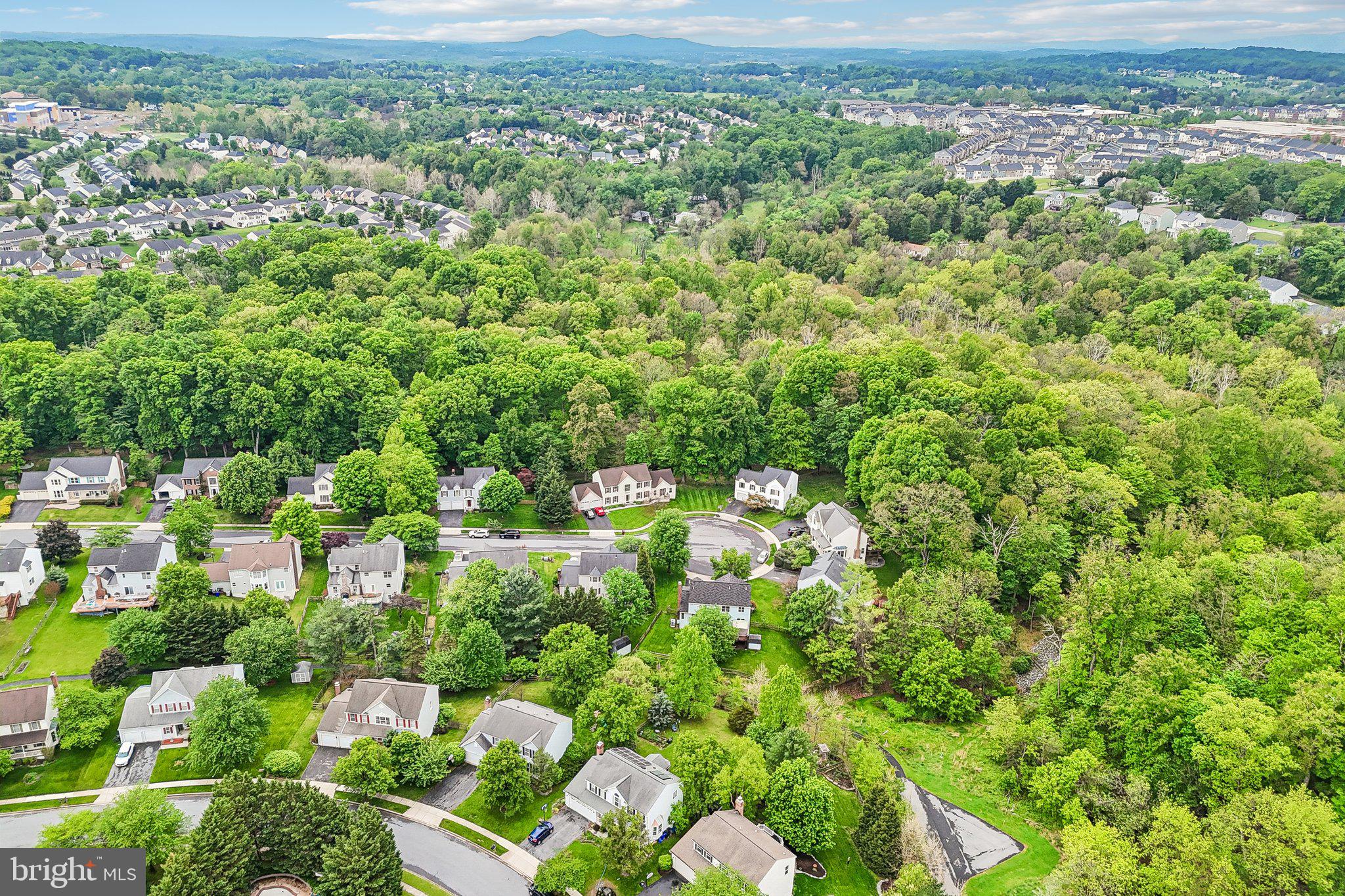 EAGLEHEAD SUMMERFIELD - Residential