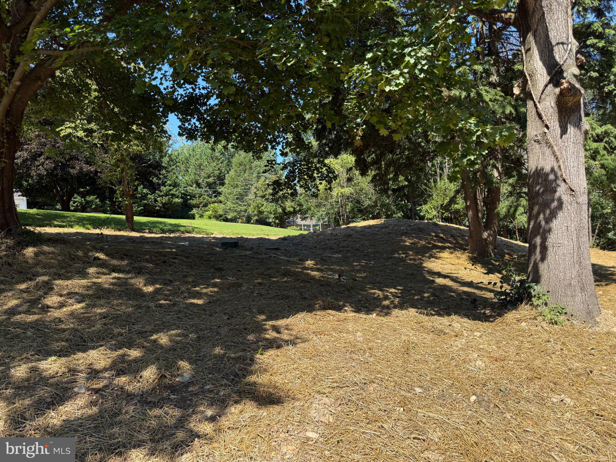 1175 BOLLINGER ROAD
