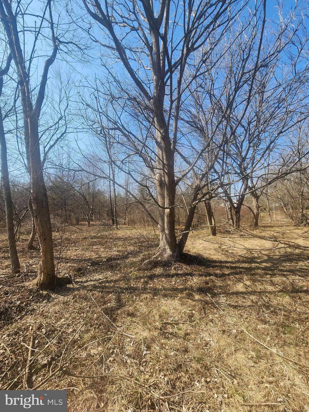 Photo of 0 Limekiln Pike, CHALFONT, PA 18914 (MLS # PABU2101688)