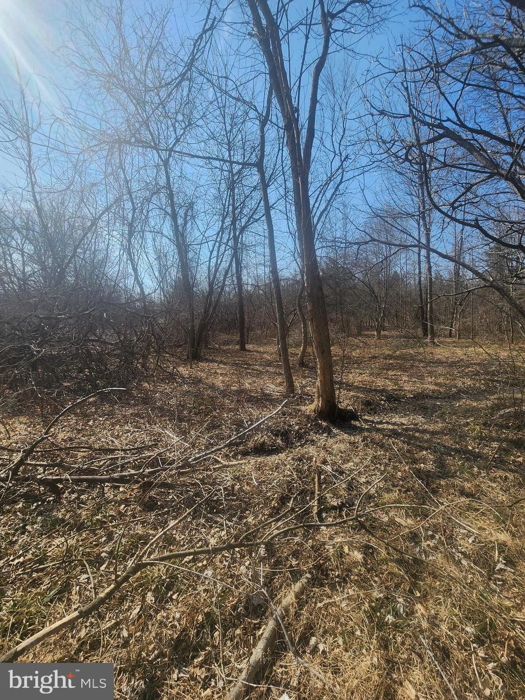 Photo of 0 Limekiln Pike, CHALFONT, PA 18914 (MLS # PABU2101688)