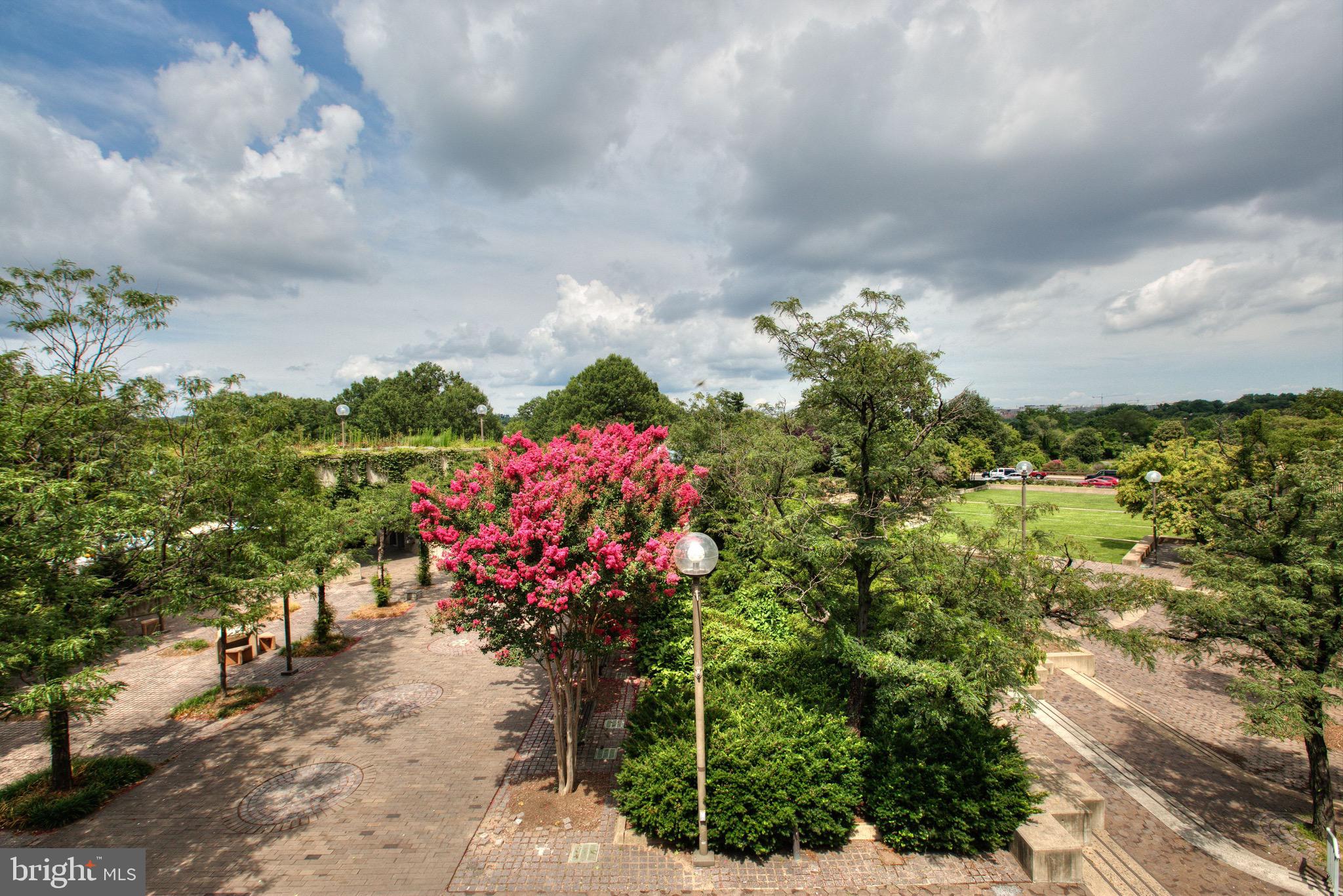 DAKOTA - Residential Lease