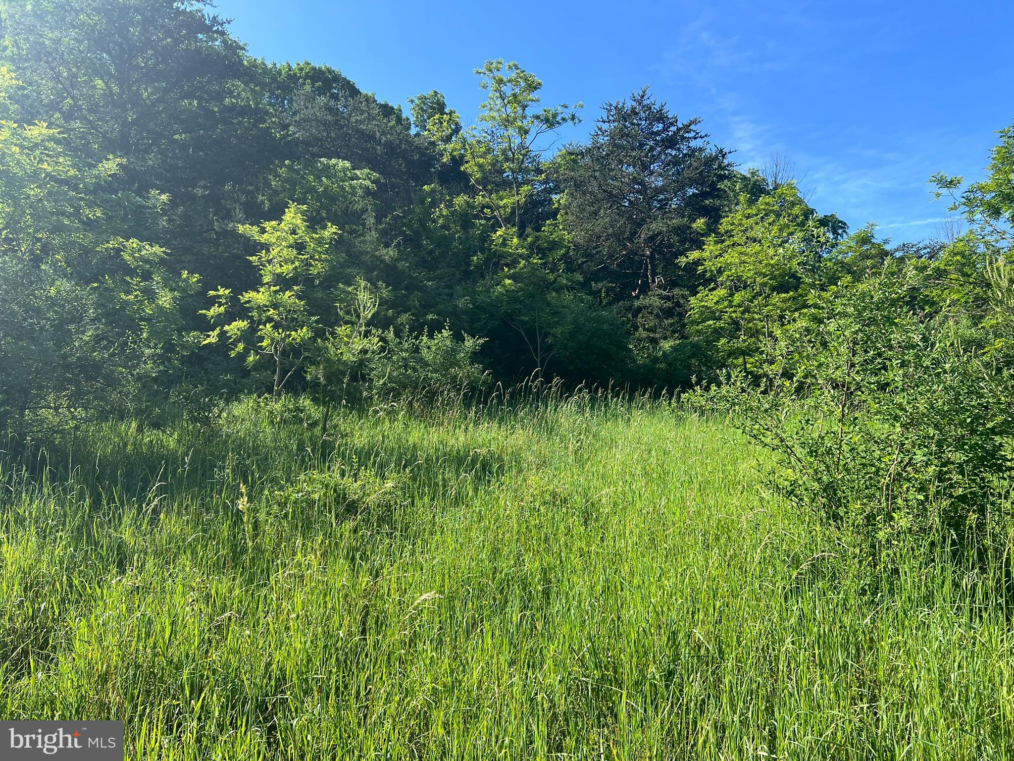 Excellent opportunity to own a gently sloped 1.60 acre building lot with public water and public sewer hookup available!