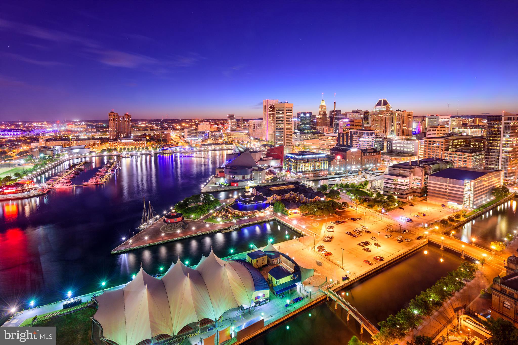 BUTCHER'S HILL - Residential Lease