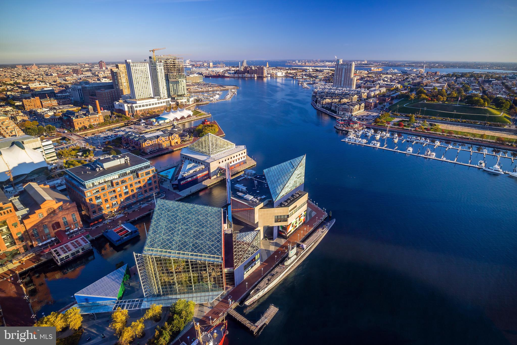 BUTCHER'S HILL - Residential Lease