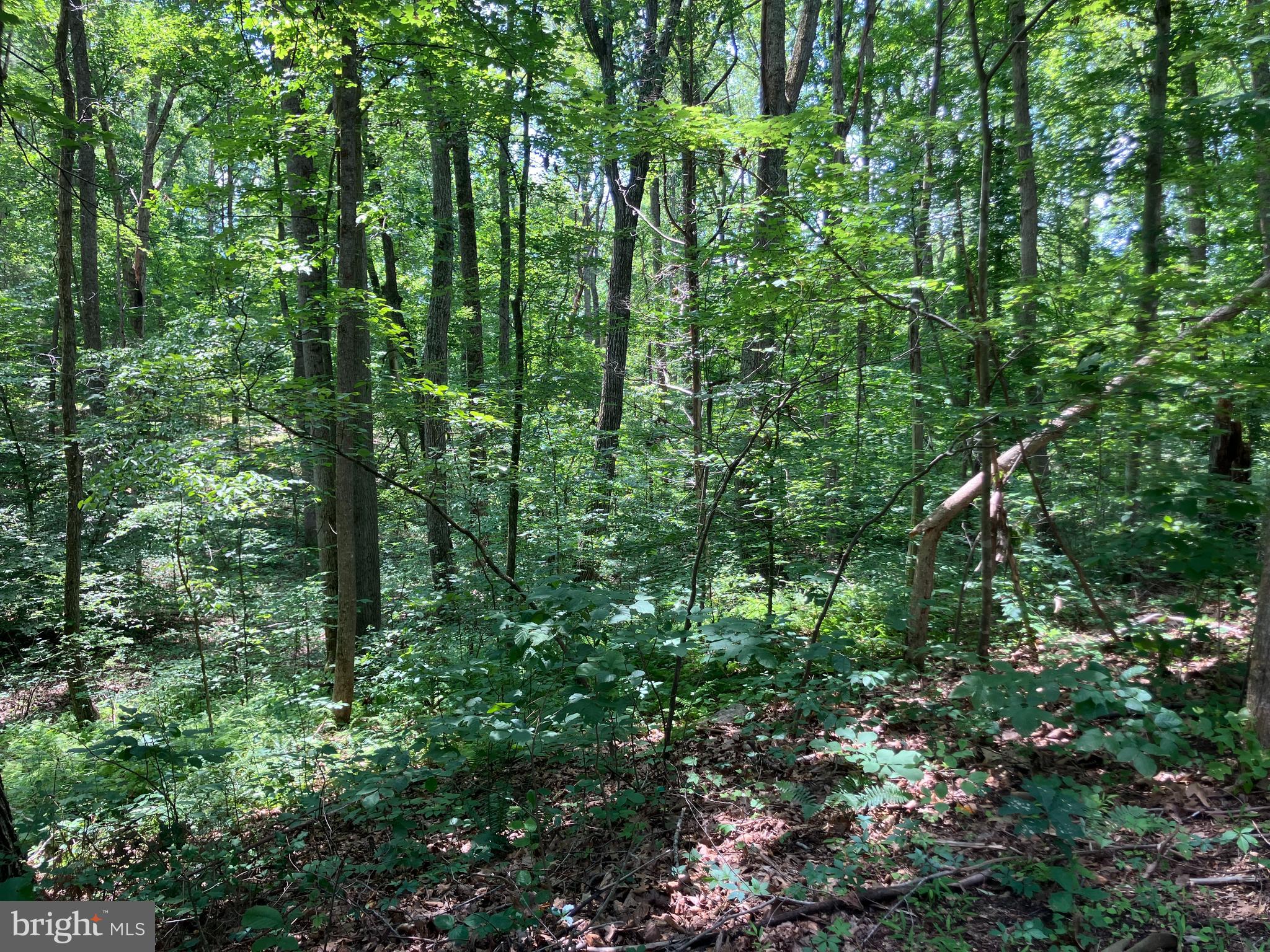 Lot 1223 N LAKESHORE DRIVE