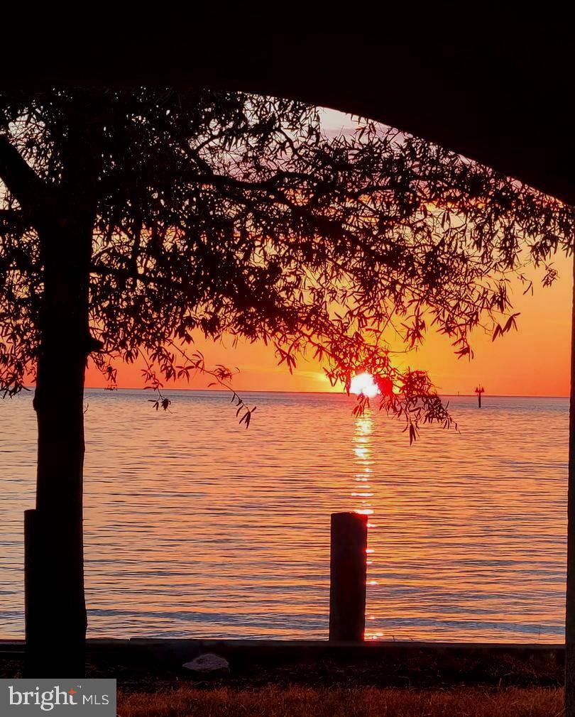 HARBOUR LIGHT CONDOS - Residential