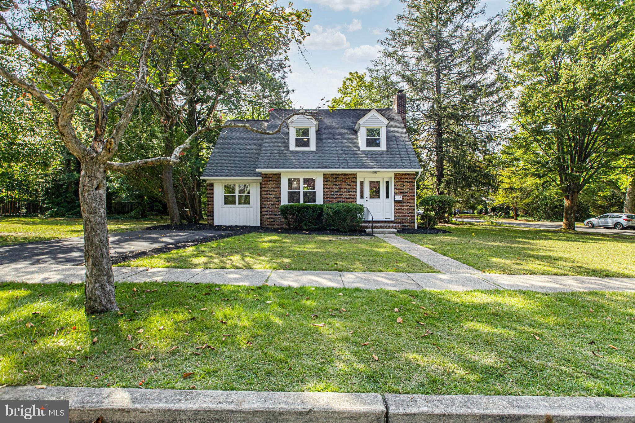 8 W BUTTONWOOD STREET