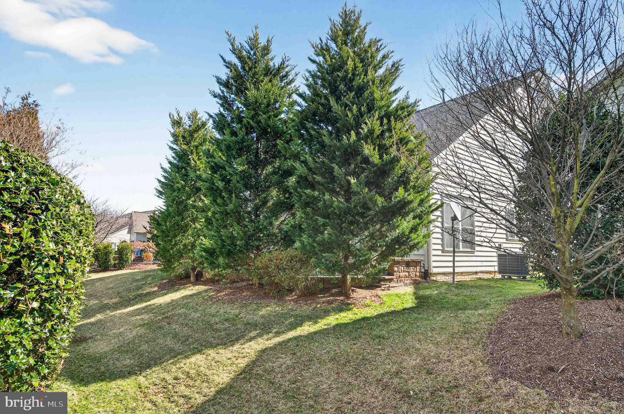 POTOMAC GREEN - Residential