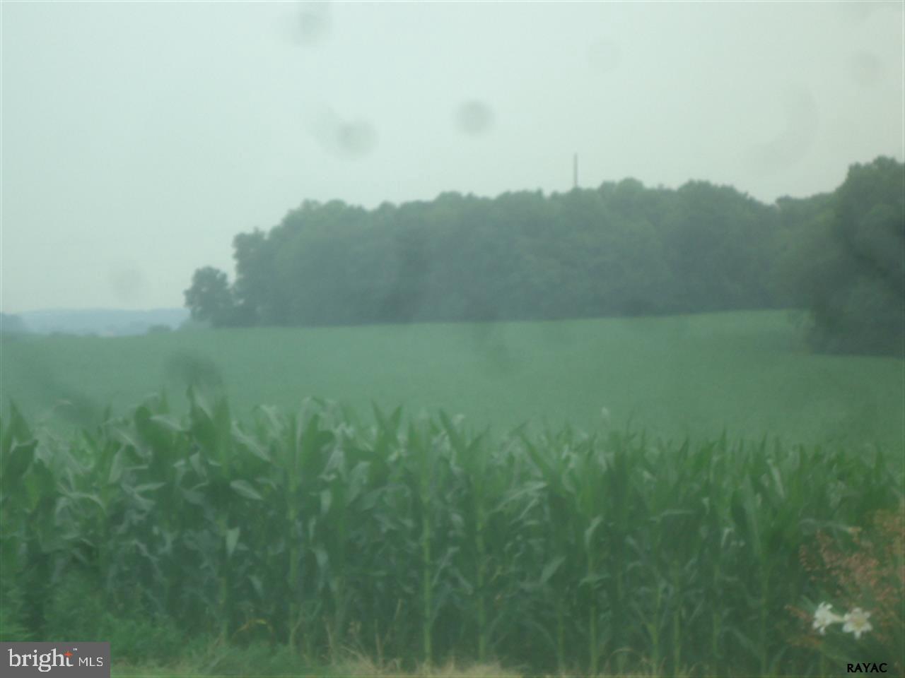 NONE AVAILABLE - Land
