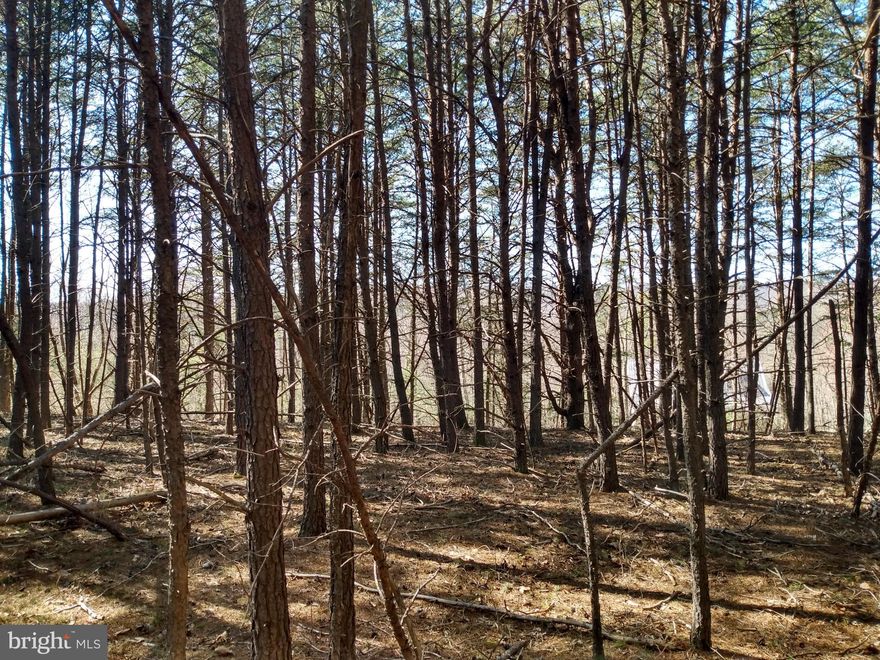 Exclusive Lot in Parkside Estates Now Available! Lot is over 2 acres in size, offers a beautiful Cacapon Mountain View, and provides the convenience of Rt. 522 without the noise. Amenities include Paved Streets, Underground Utilities, and a Community 3 Acre Lake. Near the Cacapon State Park and Berkeley Springs. Come Take a look Today!