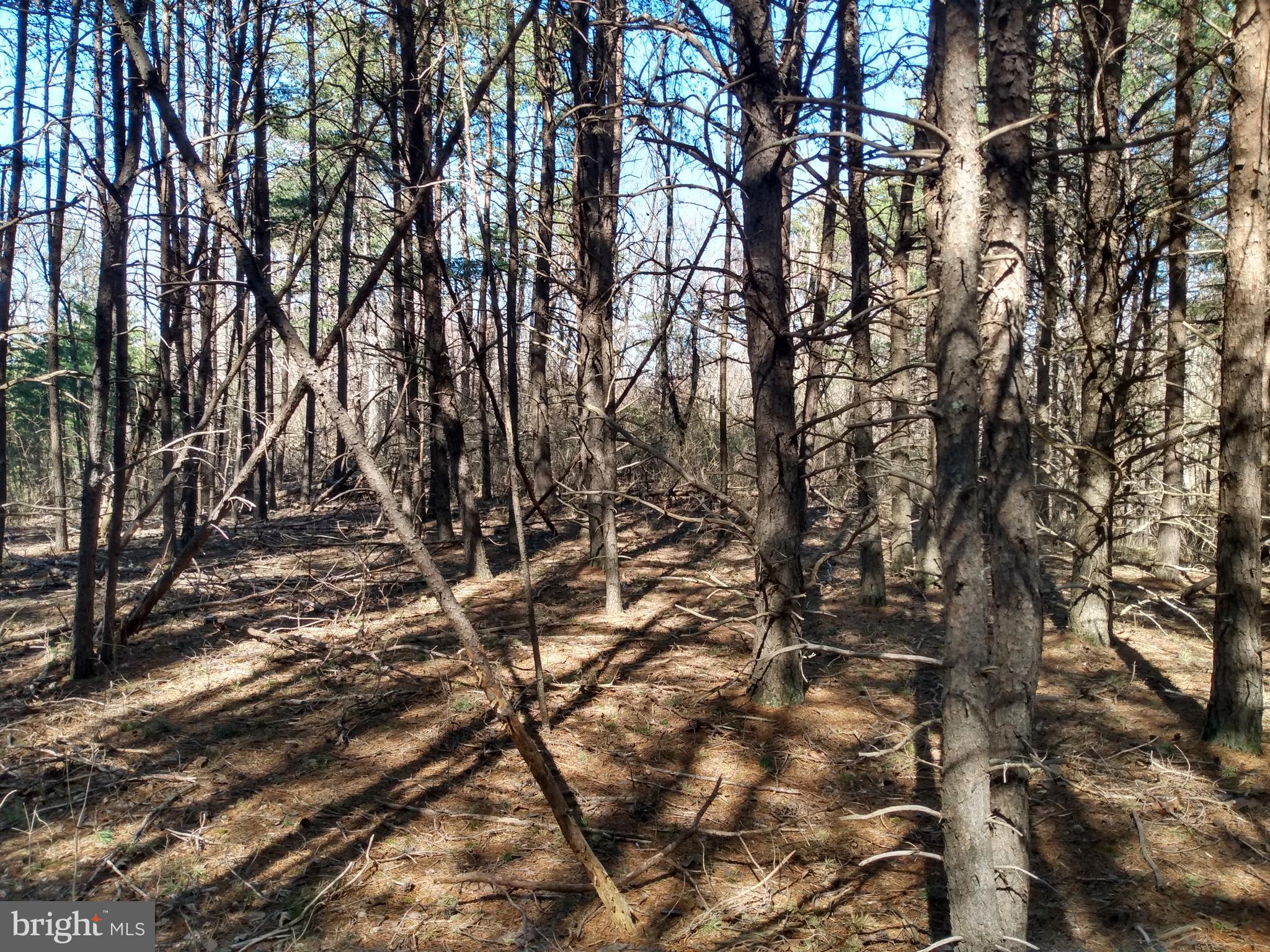 PARKSIDE ESTATES - Land