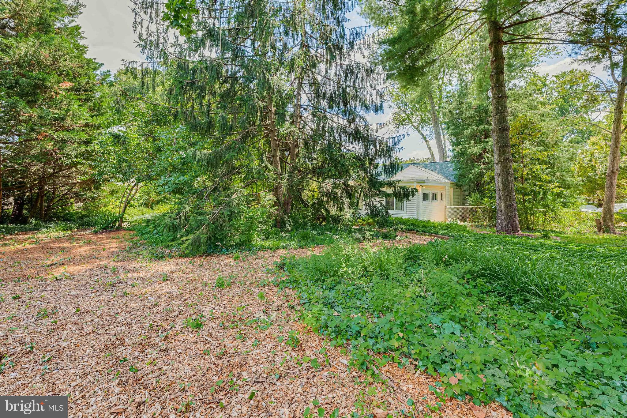 FAIRFAX TERRACE - Residential