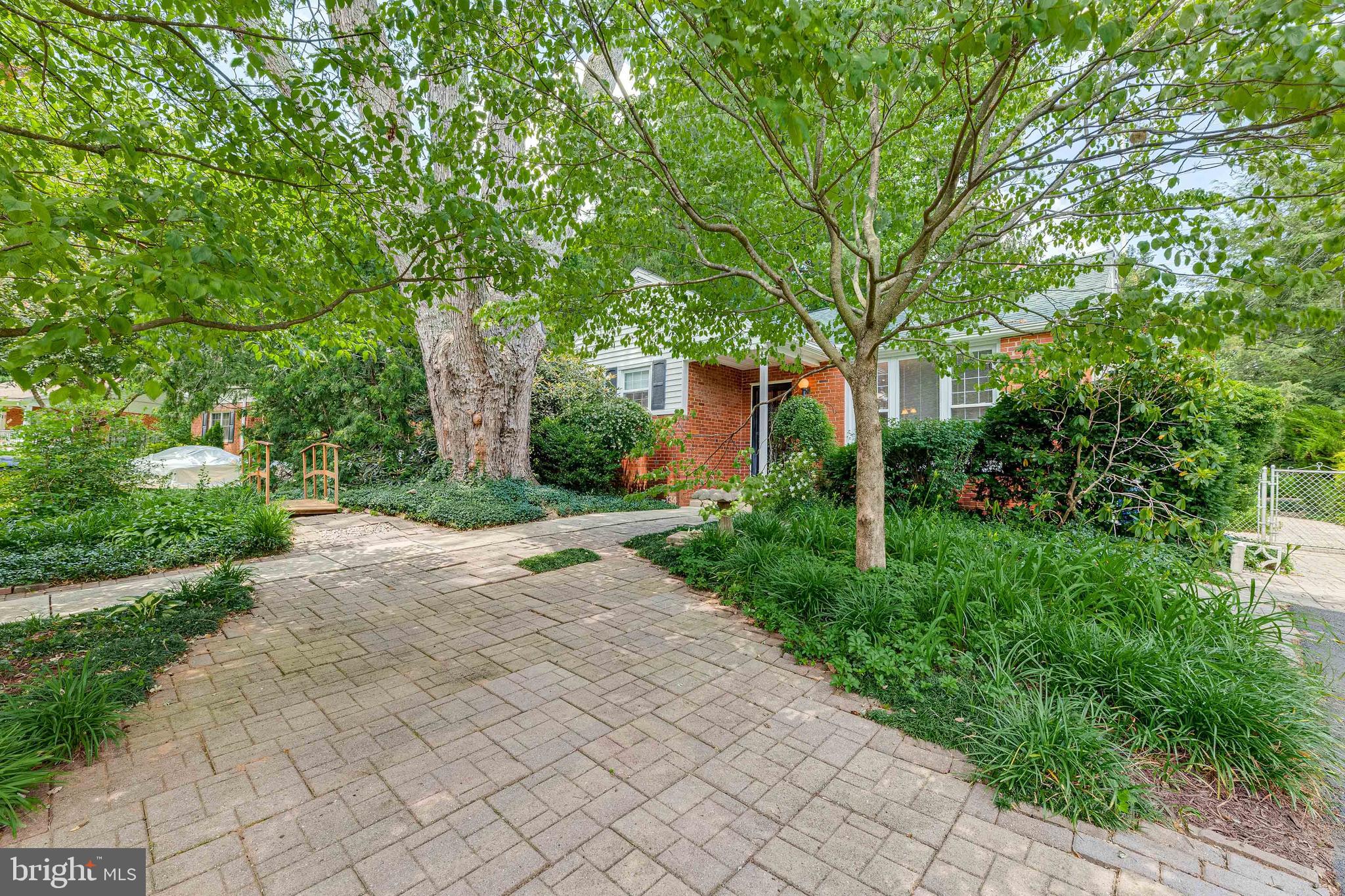 FAIRFAX TERRACE - Residential