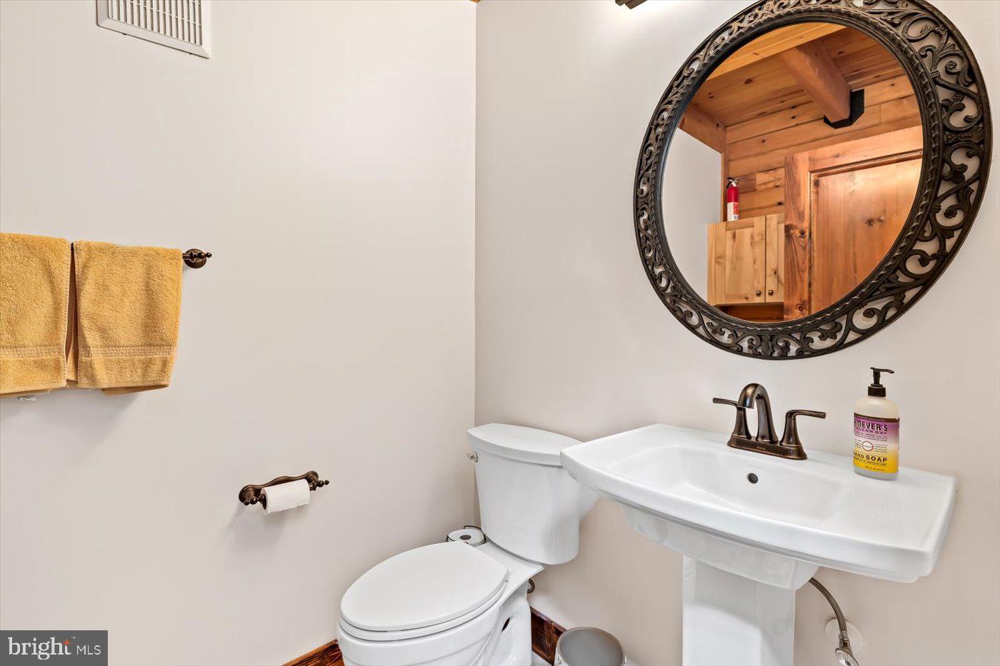 THE WATERS AT LAKE ANNA - Residential