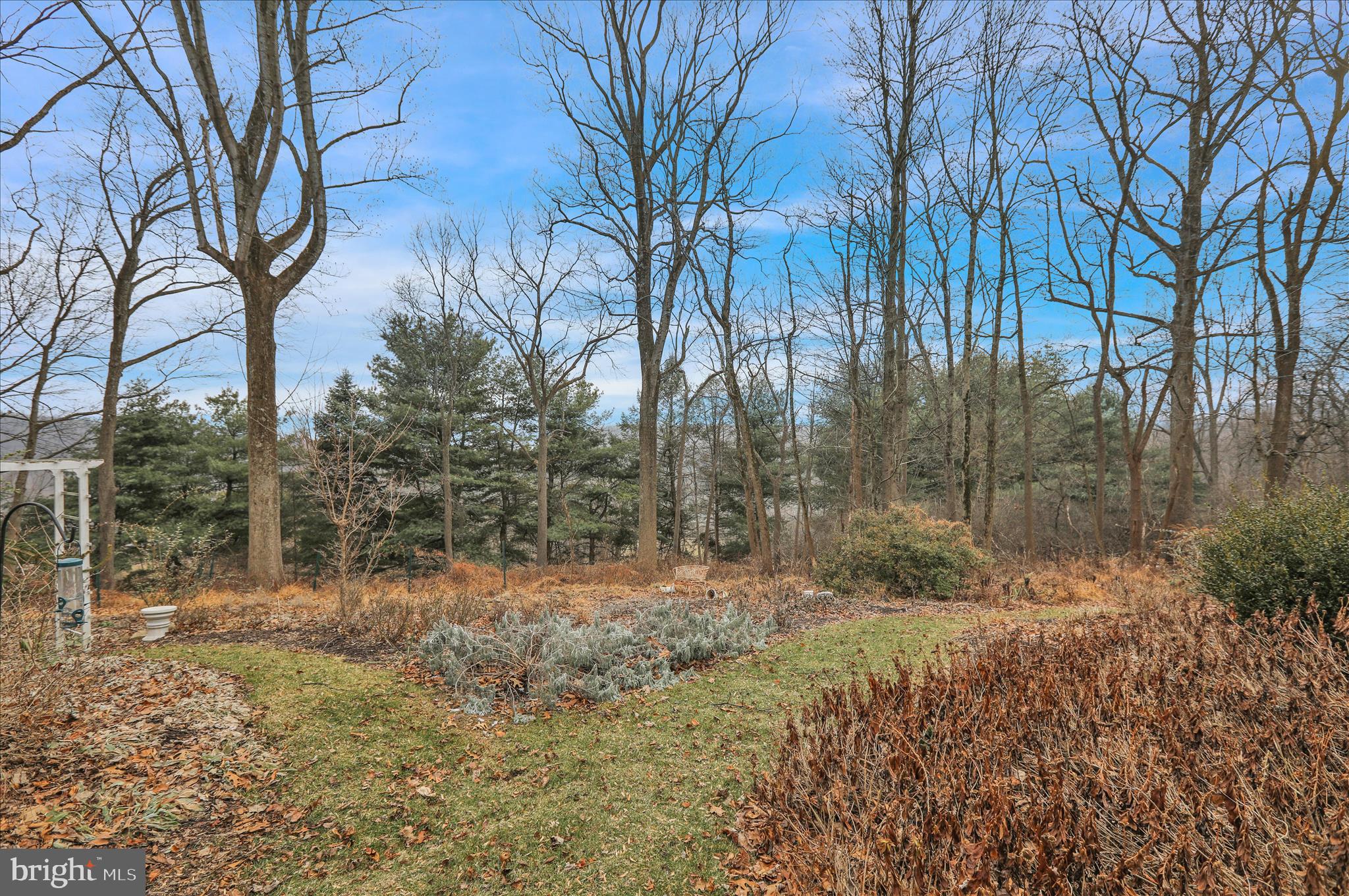 CHINKAPIN OAKS - Residential