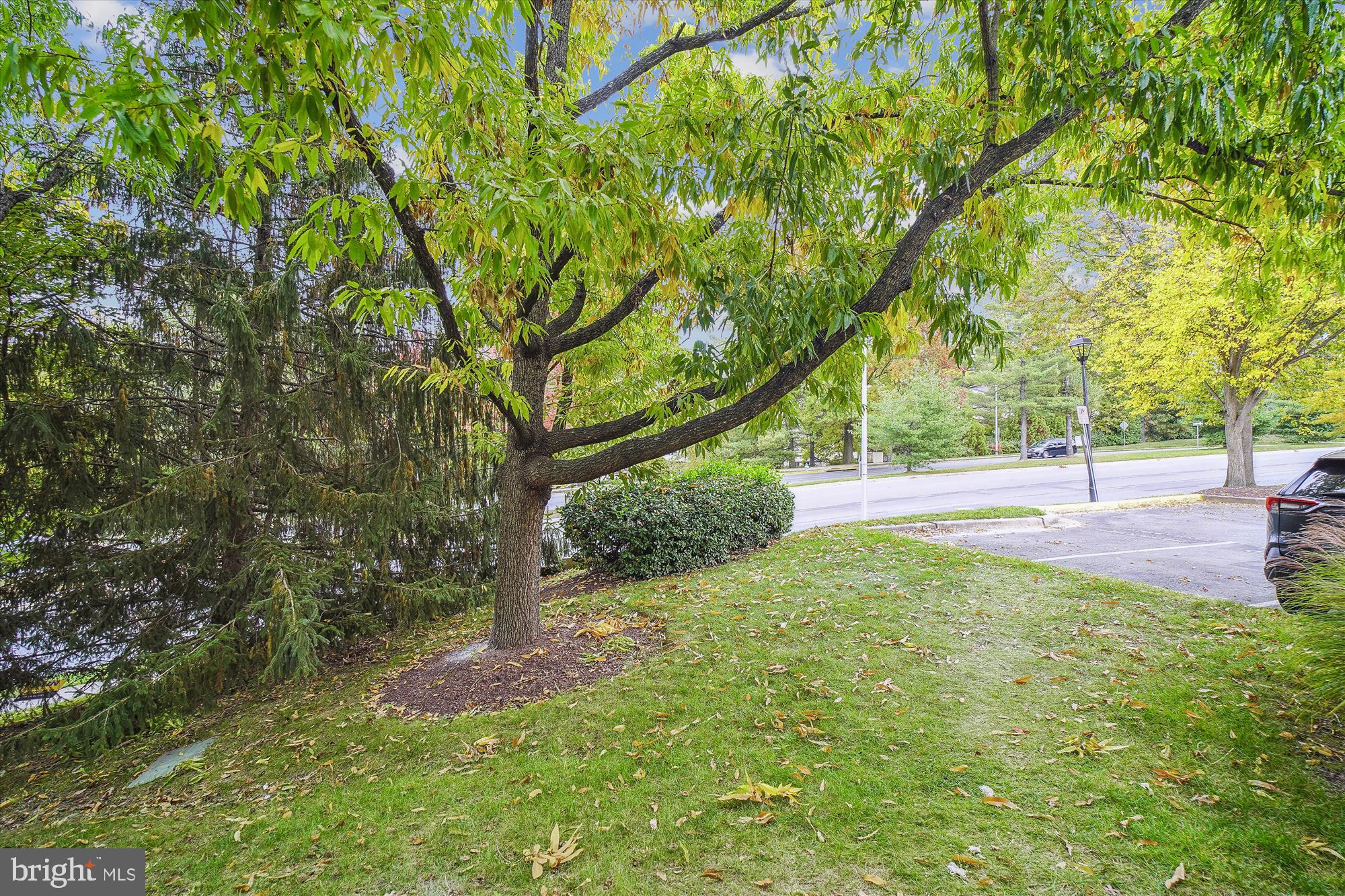 PARK PLACE CODM - Residential