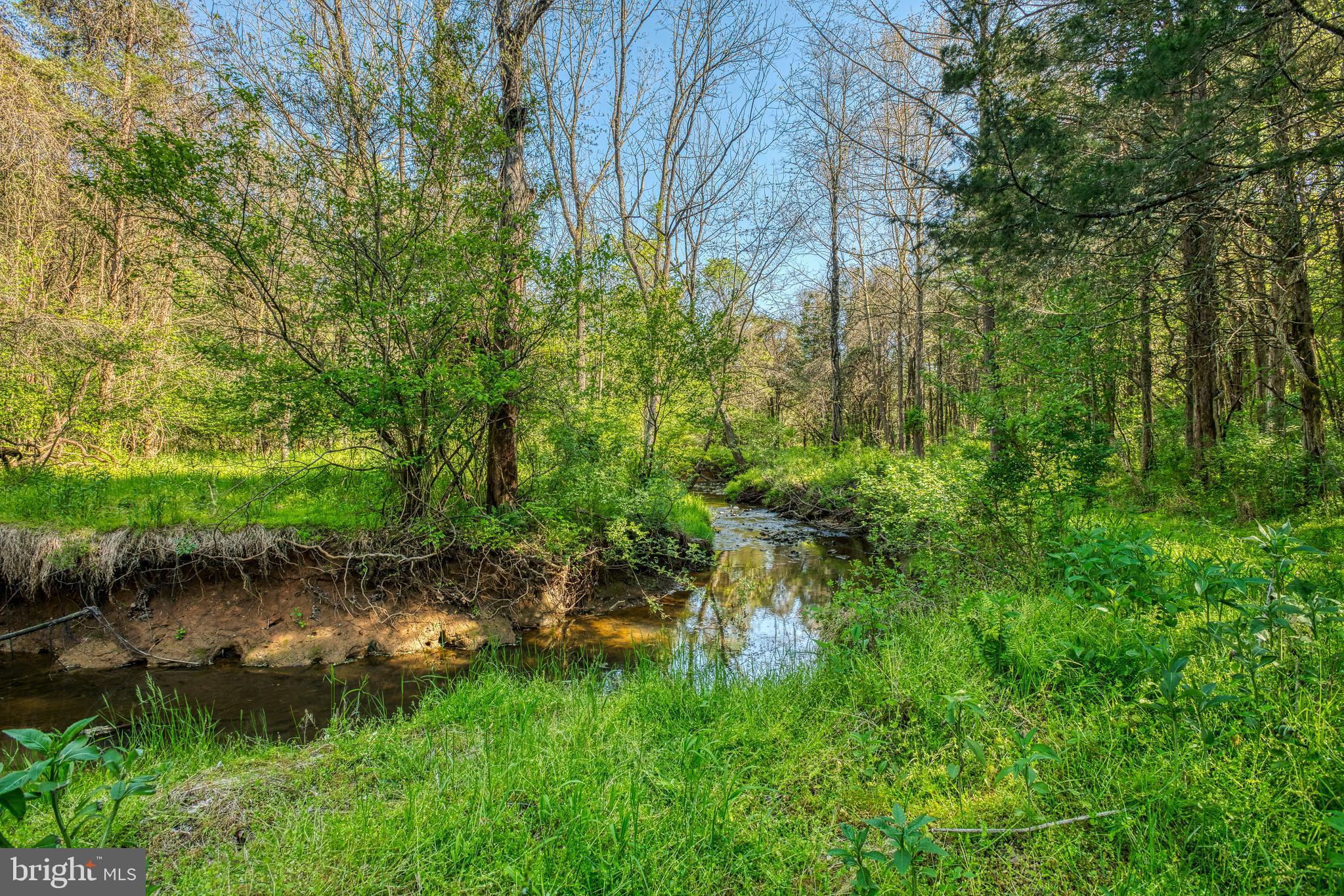 HUNT VALLEY - Residential