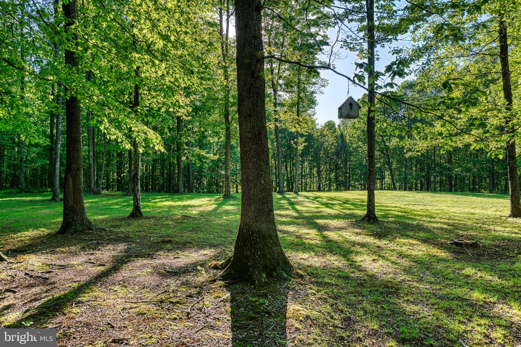 HUNT VALLEY - Residential