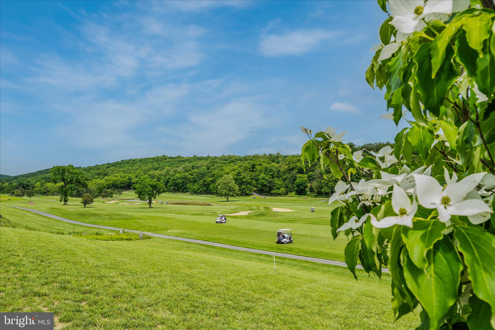SLEEPY CREEK ORCHARD - Residential