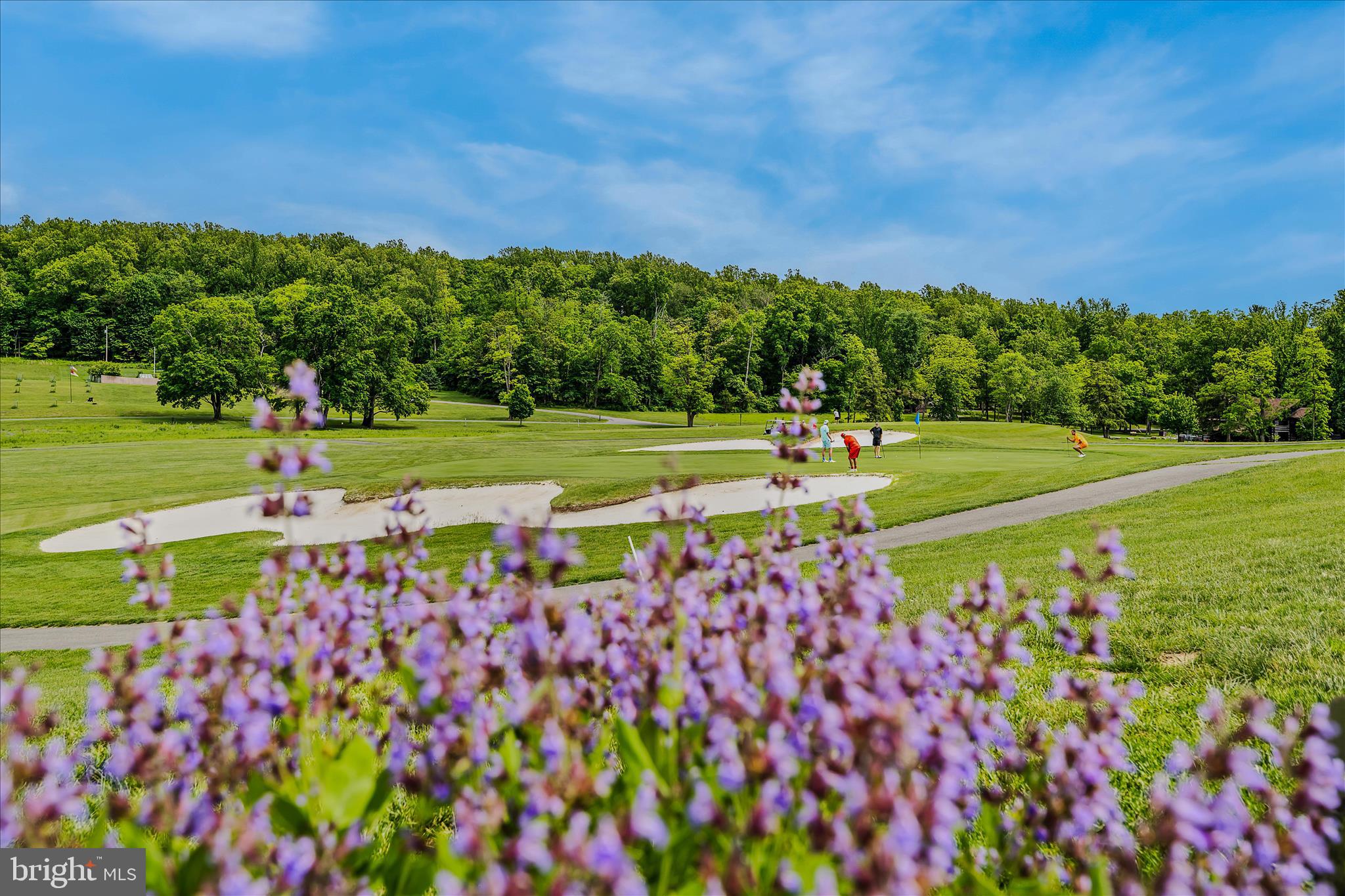 SLEEPY CREEK ORCHARD - Residential