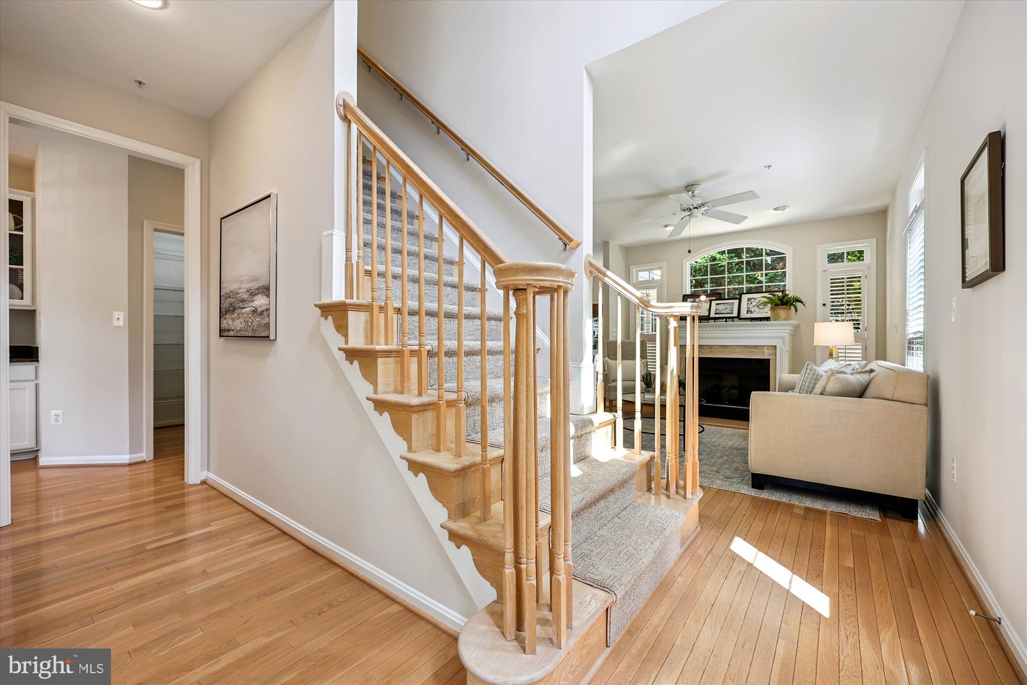 15 BLUE HOSTA WAY