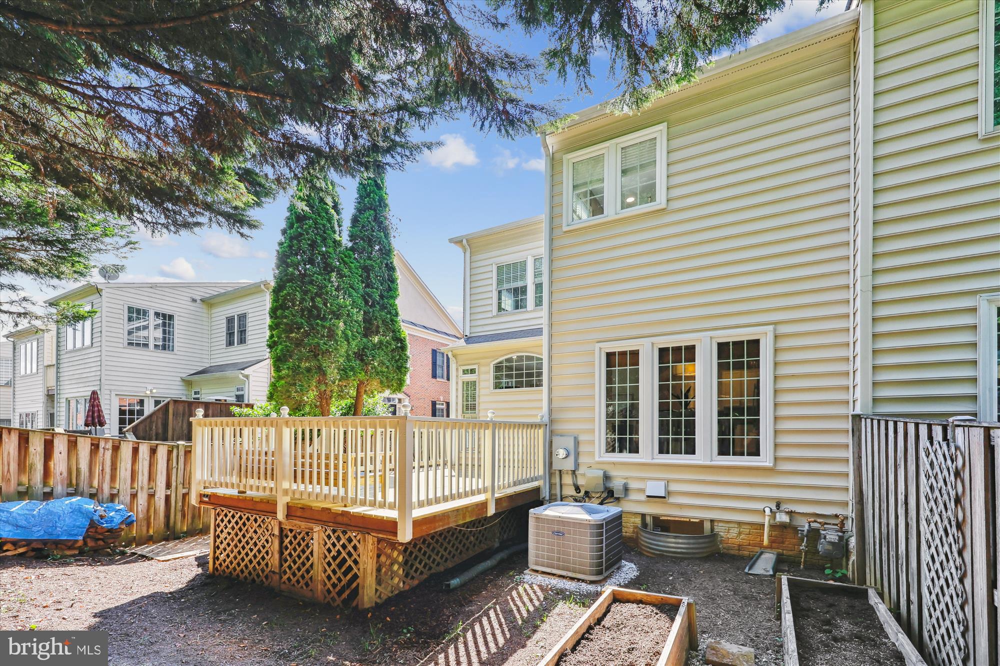 15 BLUE HOSTA WAY