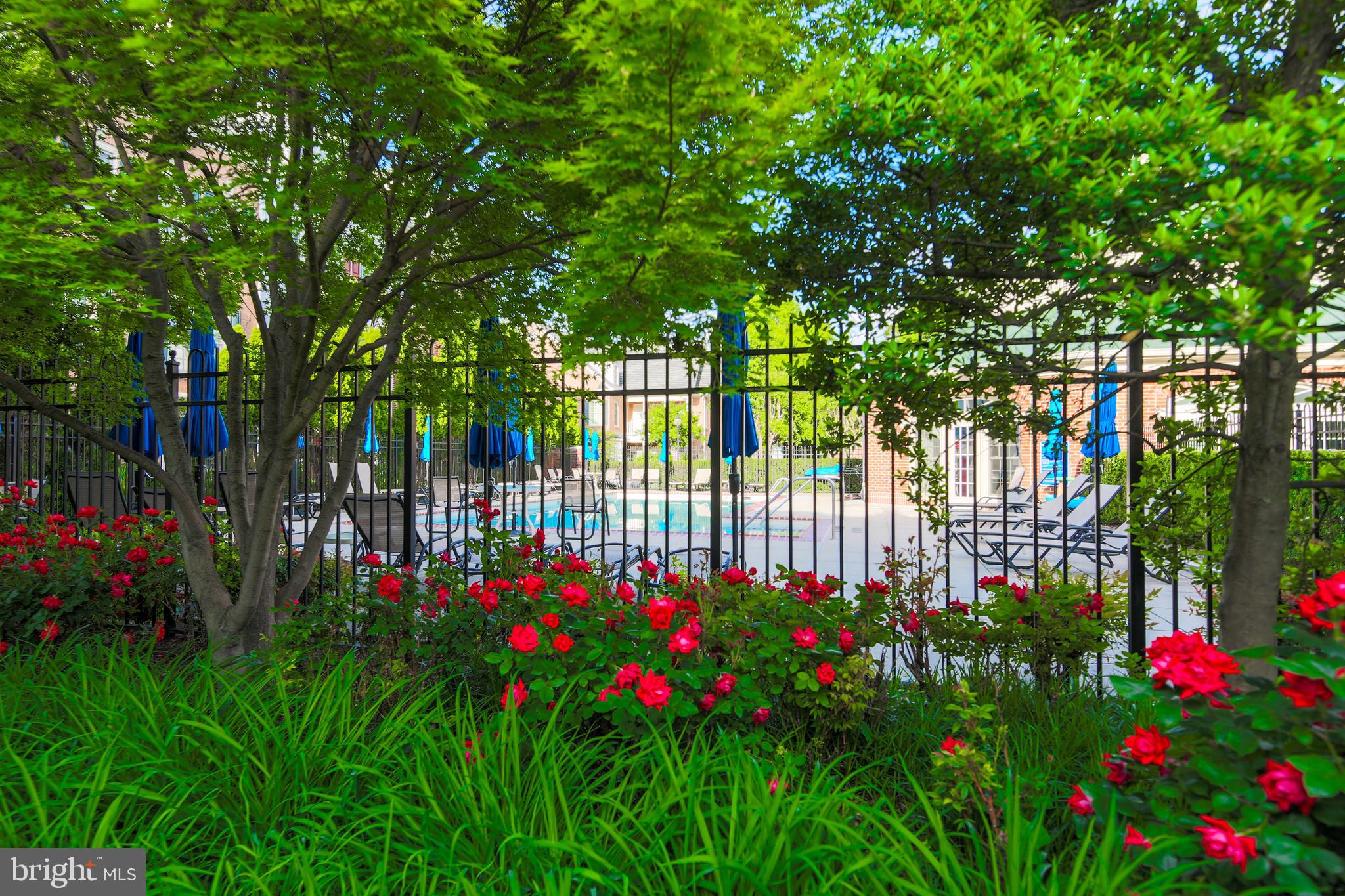 OLD TOWN VILLAGE - Residential Lease