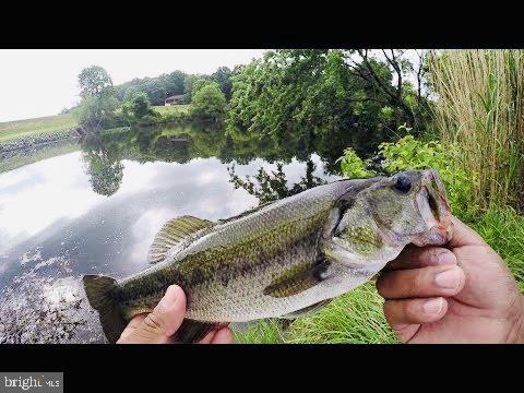 SWAN POINT - Residential