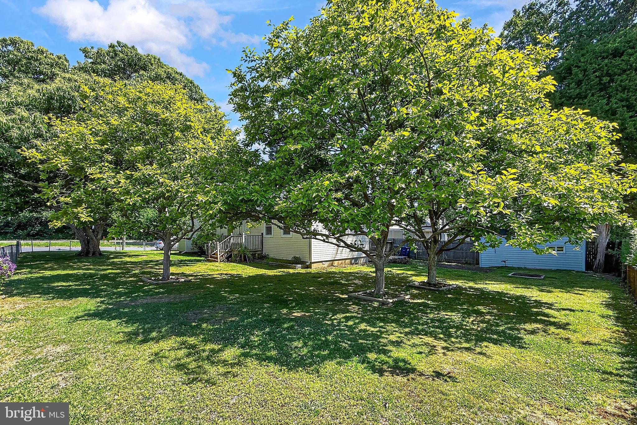 WEST LAWN - Residential