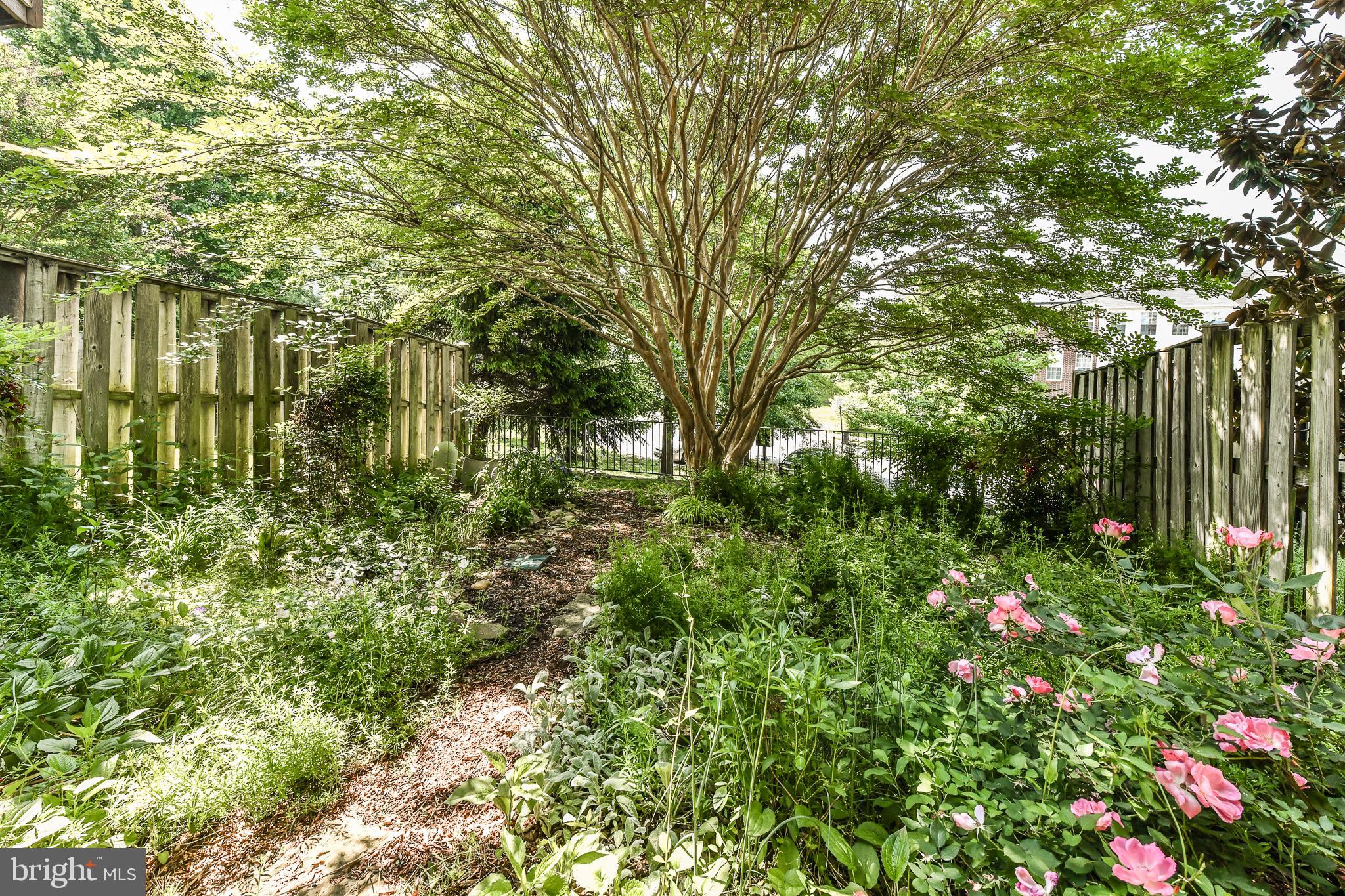 KINGSTOWNE - Residential Lease