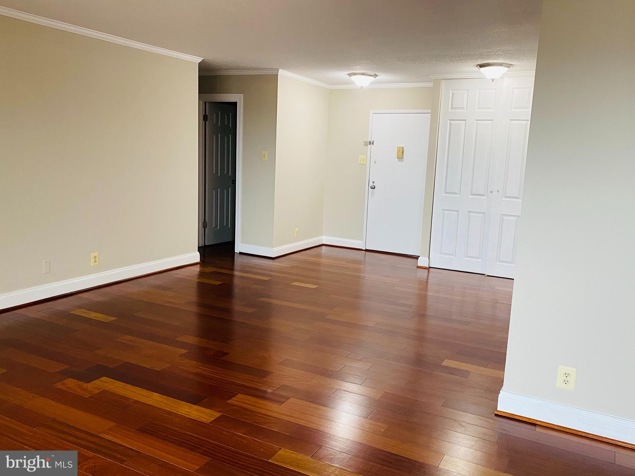 205 YOAKUM PARKWAY 1709