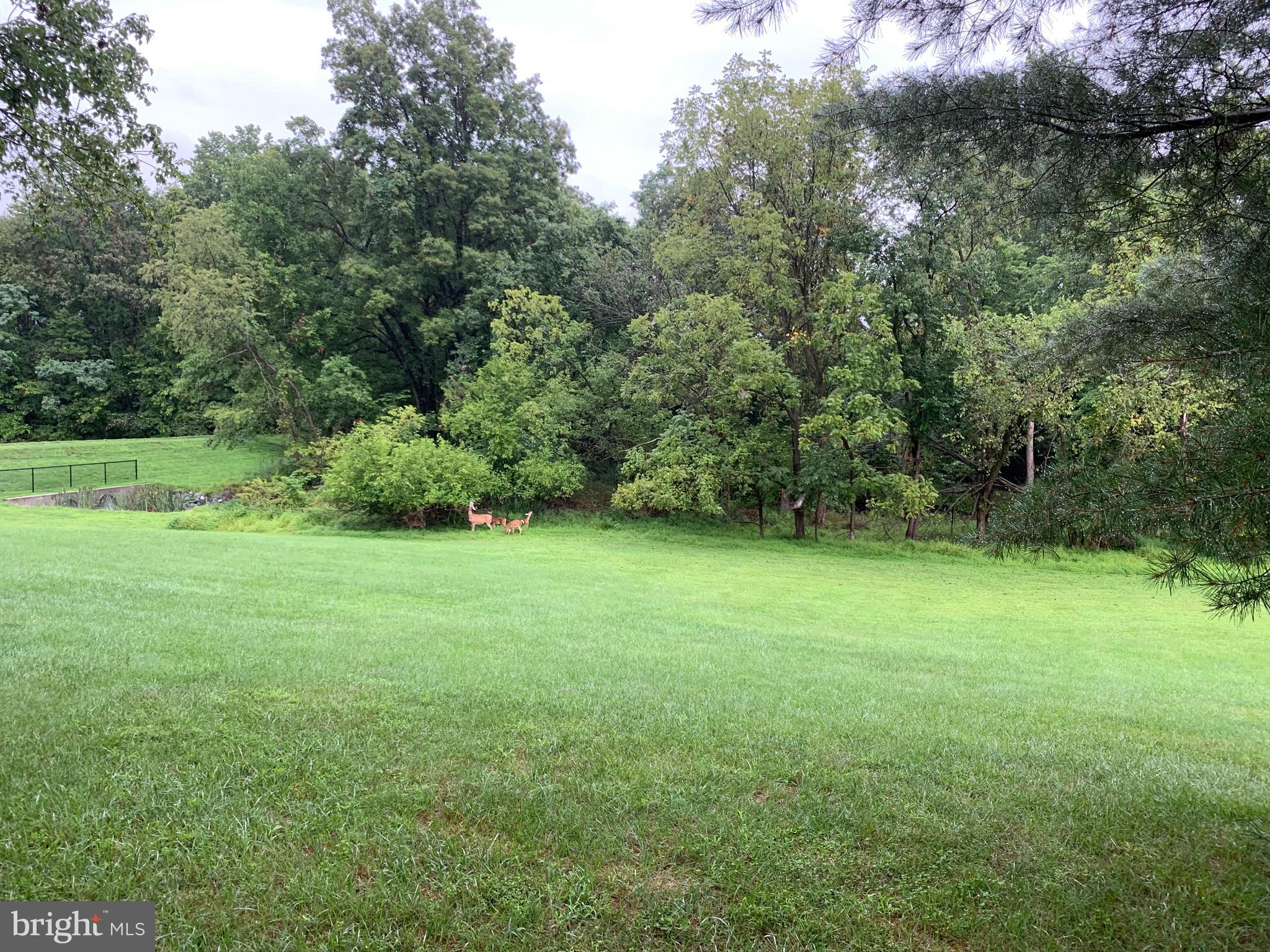 POTOMAC RIDGE - Residential Lease