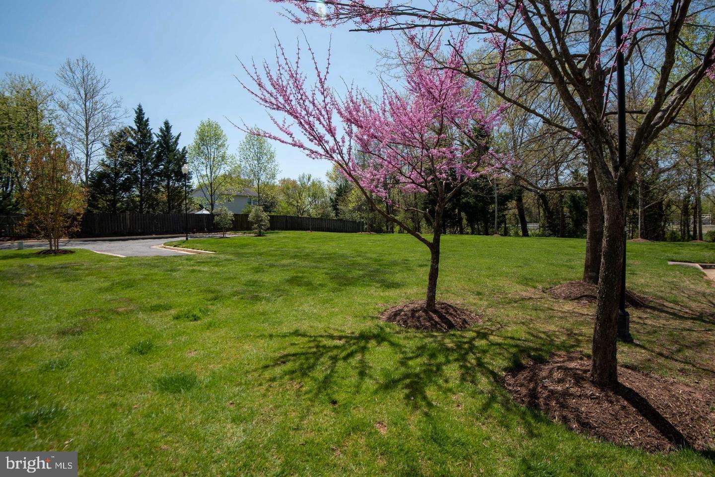 LIBERTY GROVE - Residential