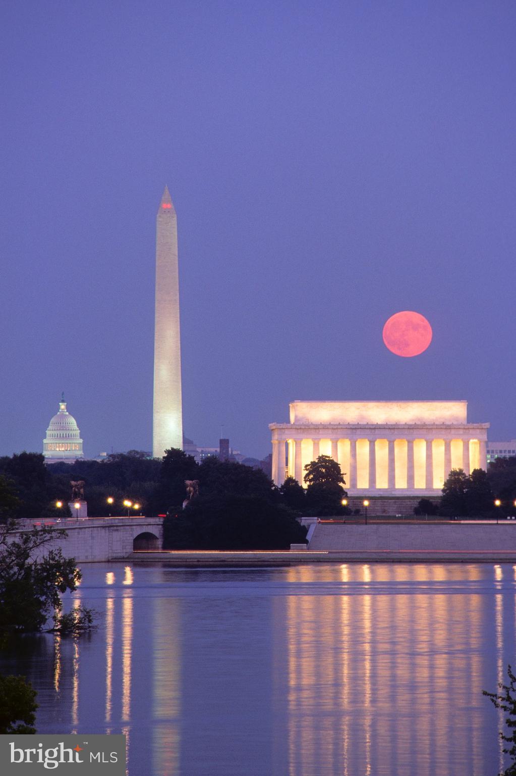 WILSON BOULEVARD - Residential Lease