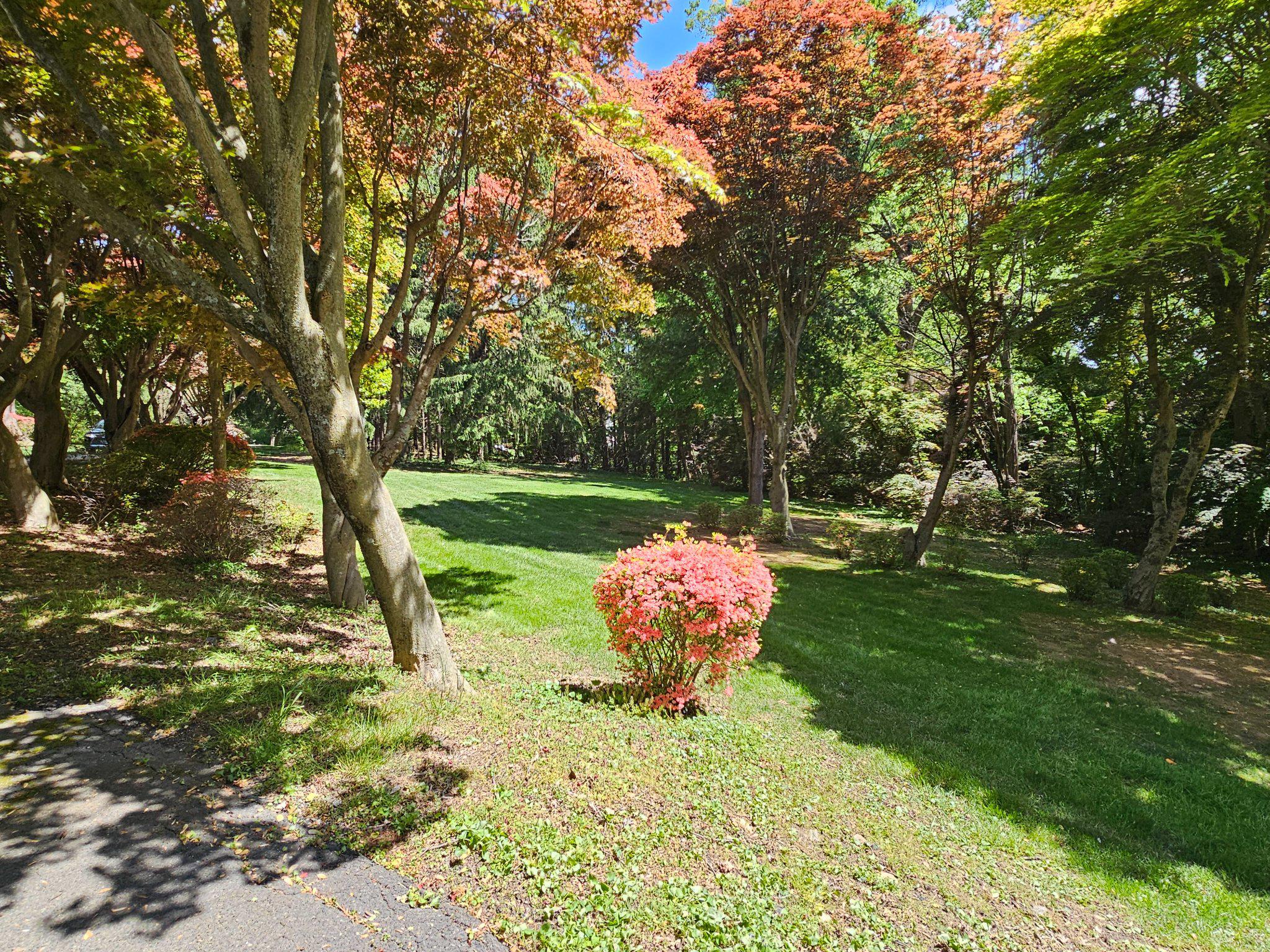 GLEN ARM - Residential