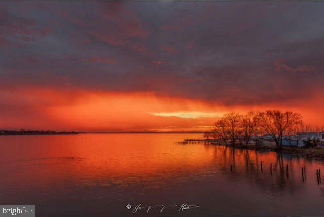 SENECA POINTE - Residential