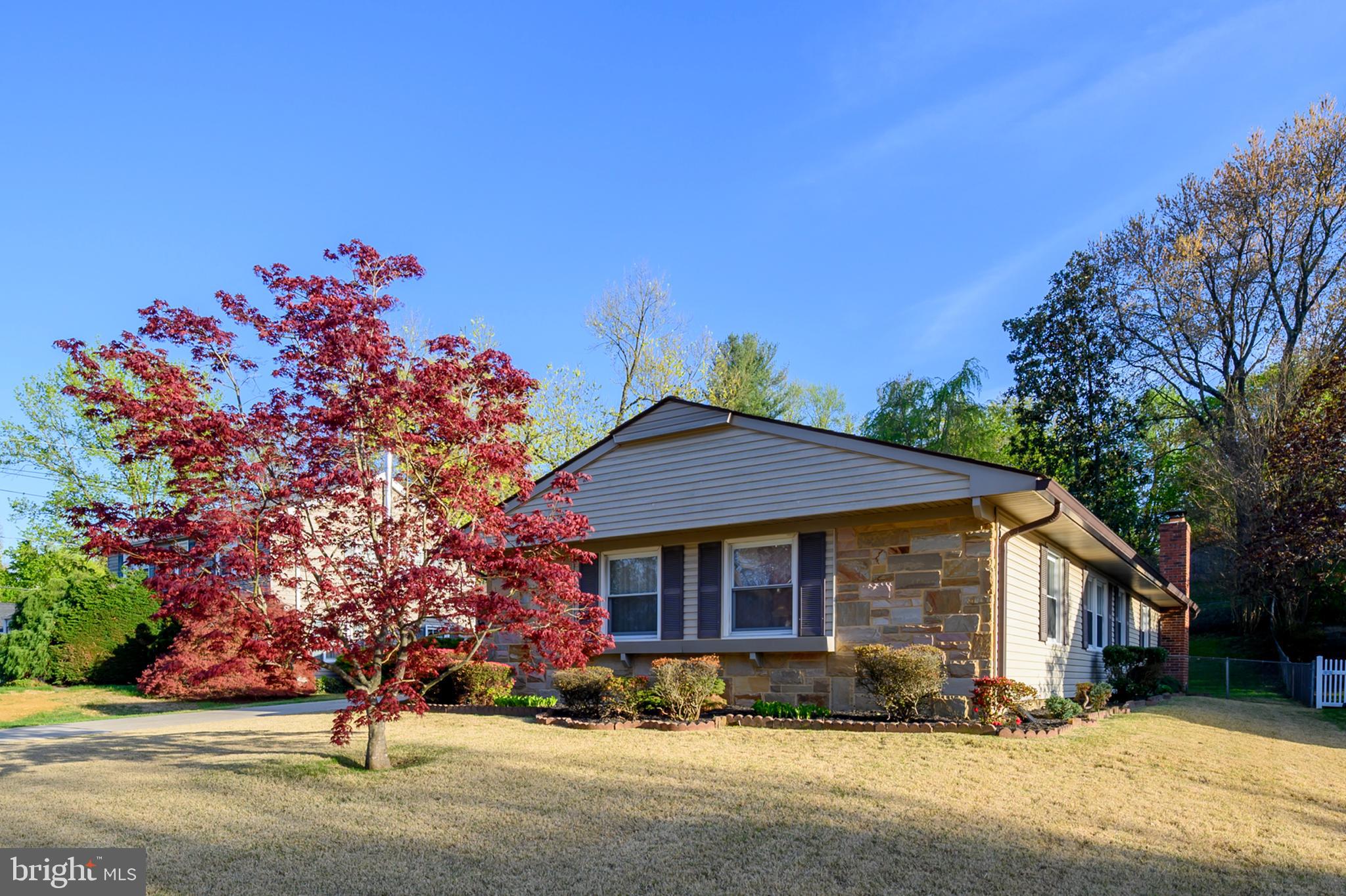 TULIP GROVE AT BELAIR - Residential